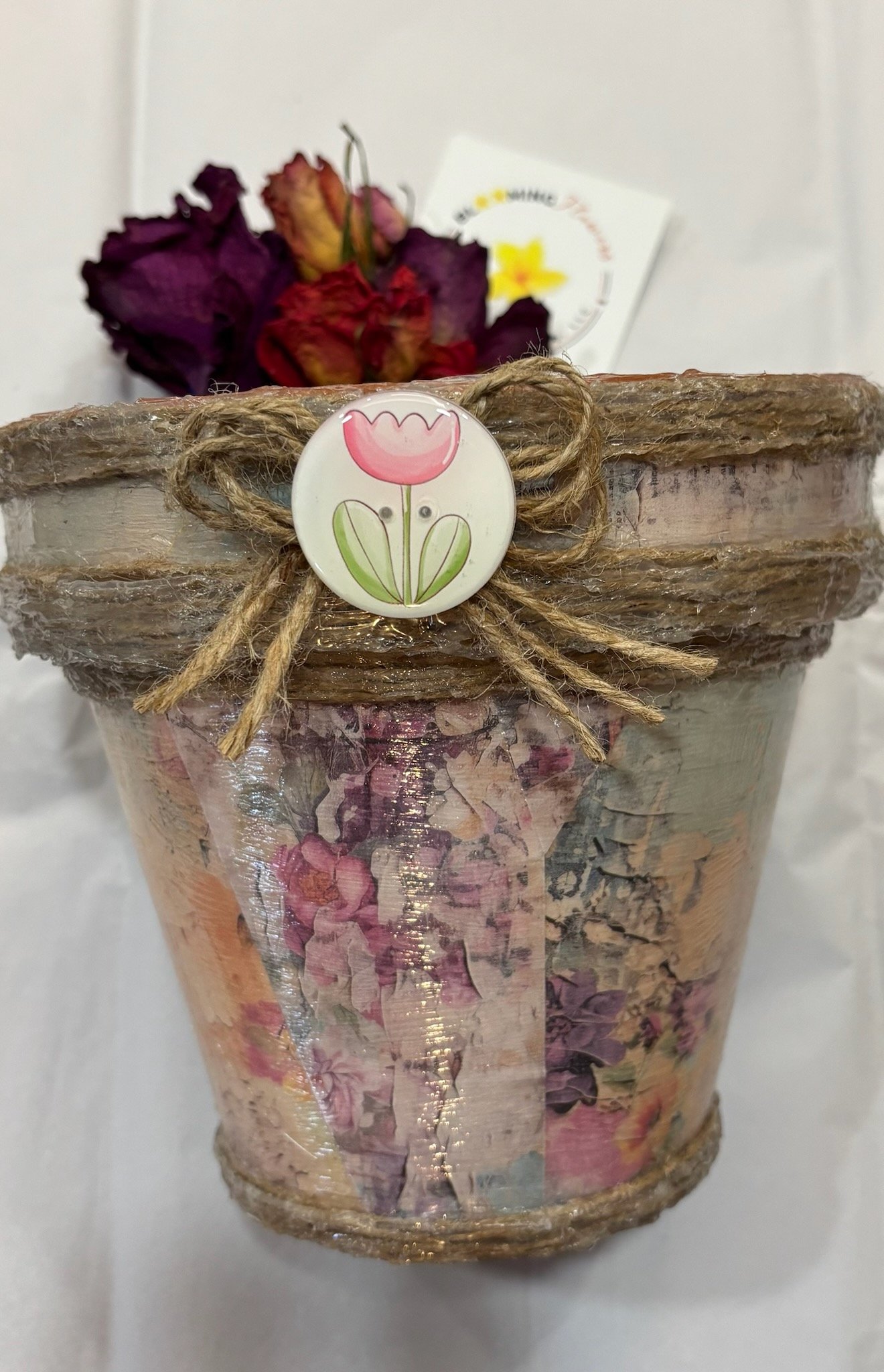 FLOWER POTS - FLOWERS.jpg