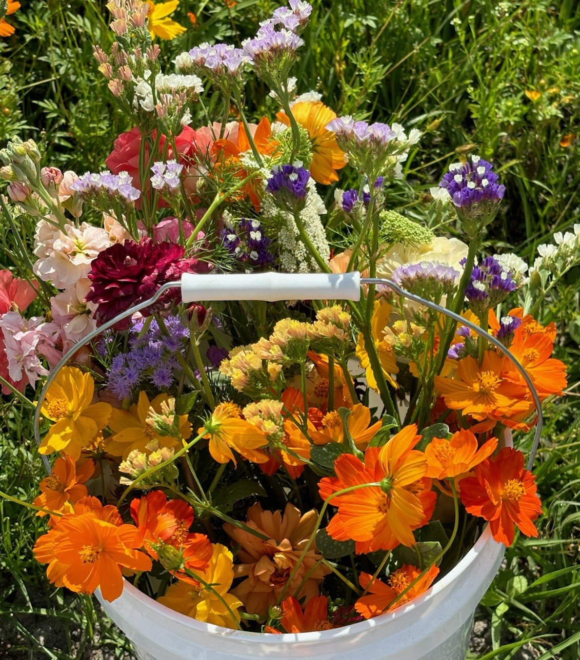 BUCKET OF FLOWERS - 2 - 3.28.24.jpg