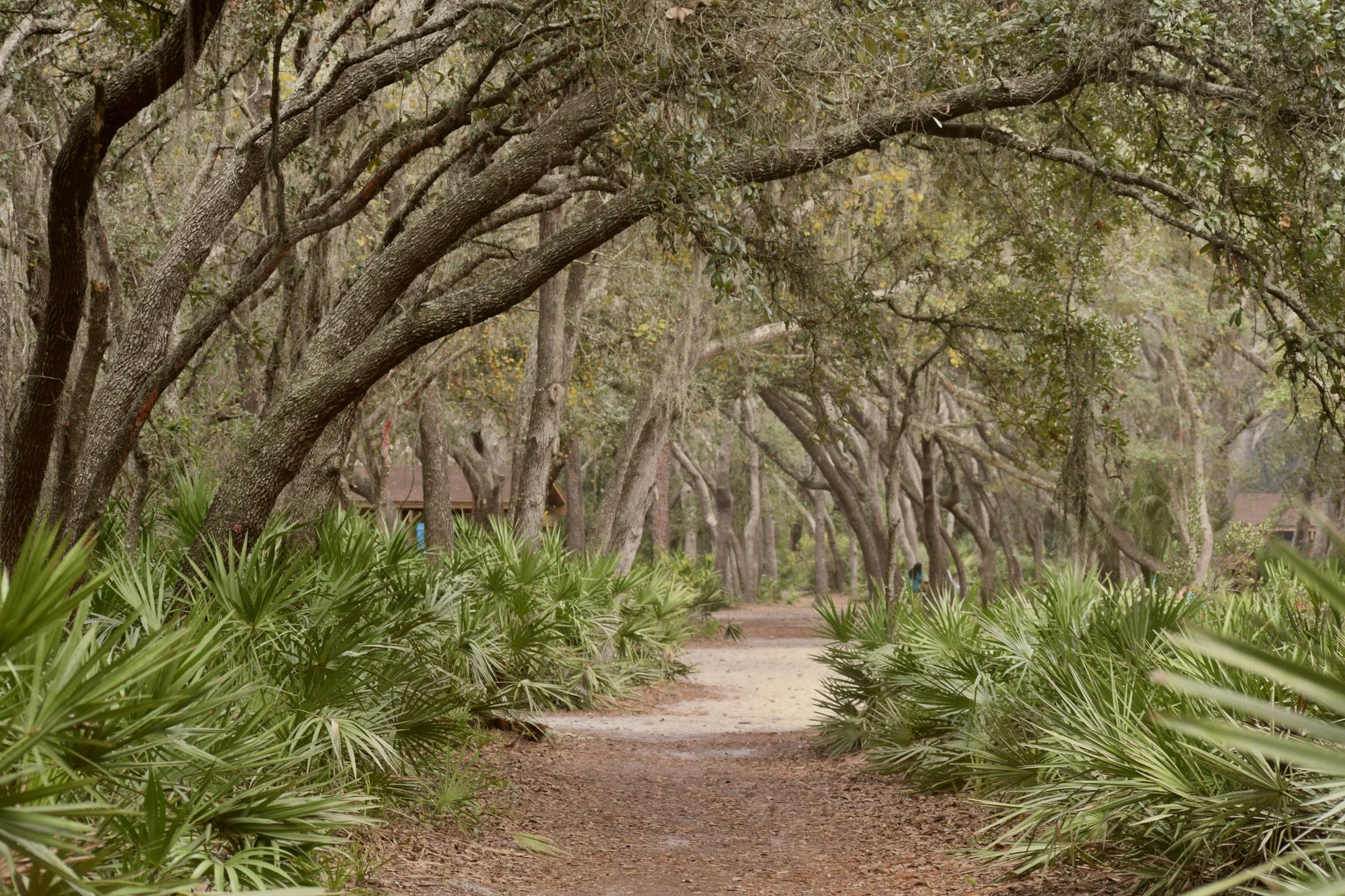 Top 5 Parks for Portrait Photos in Hillsborough County