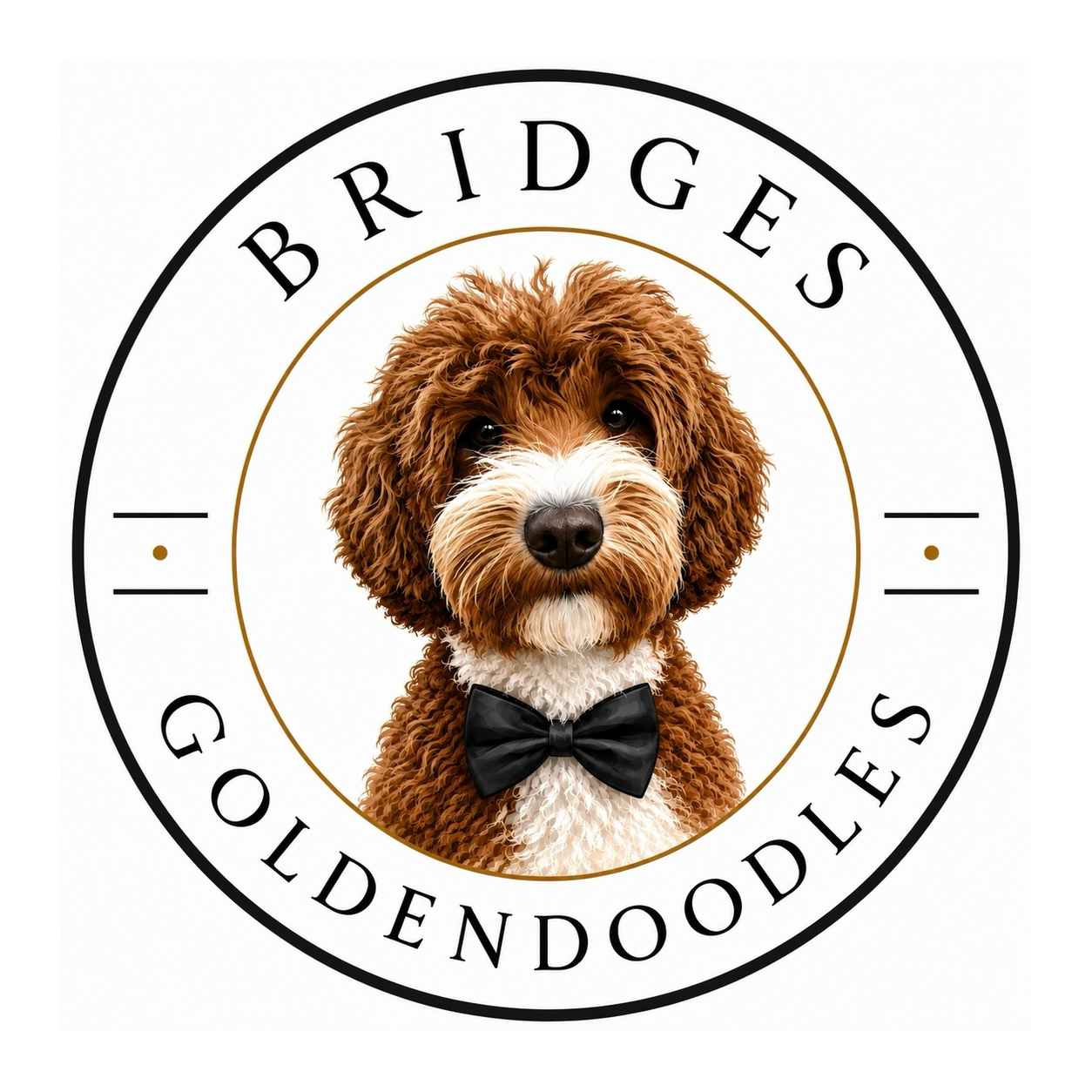 Bridges Goldendoodles