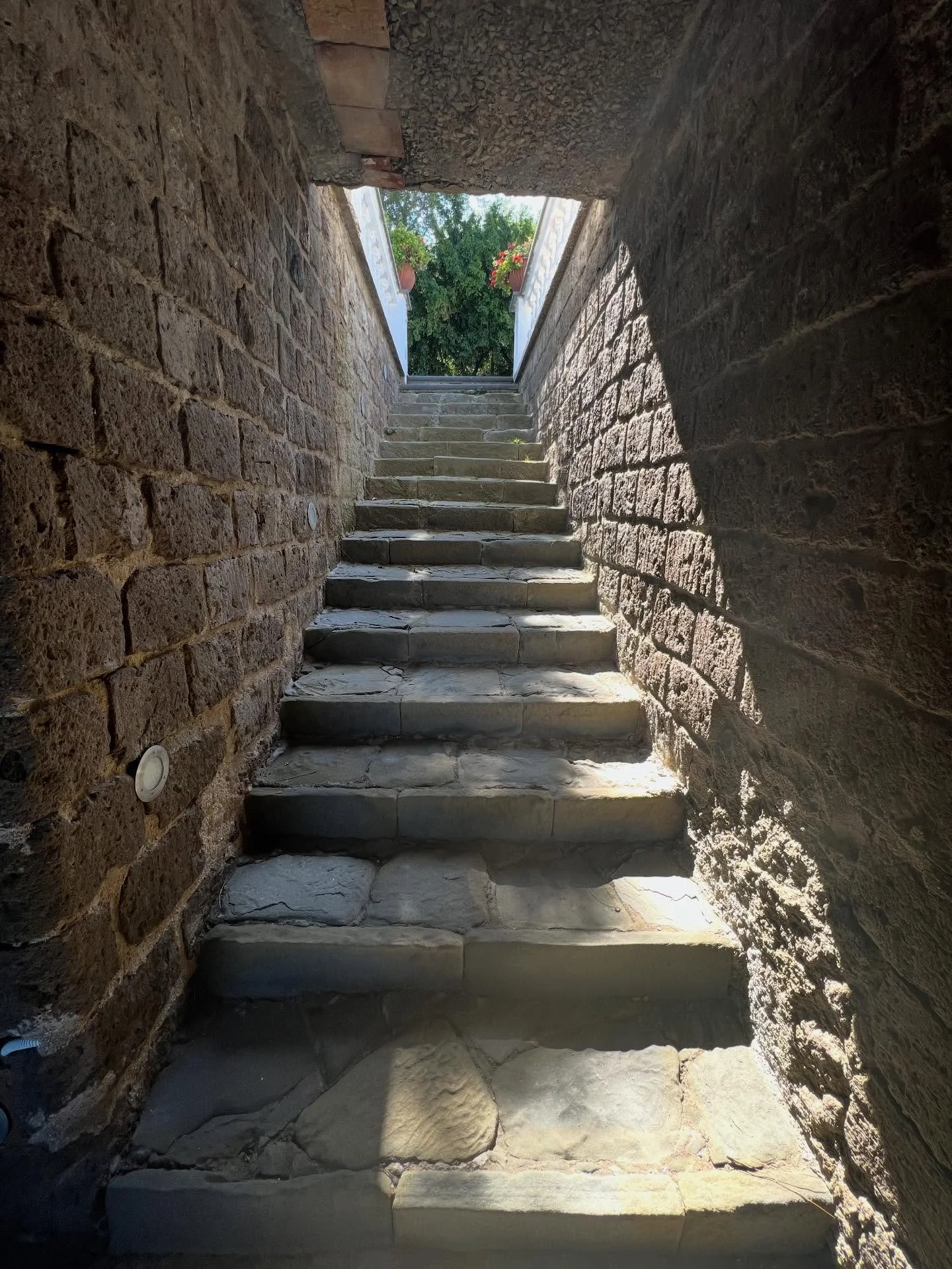 &ldquo;Let There Be&rdquo; 12.25