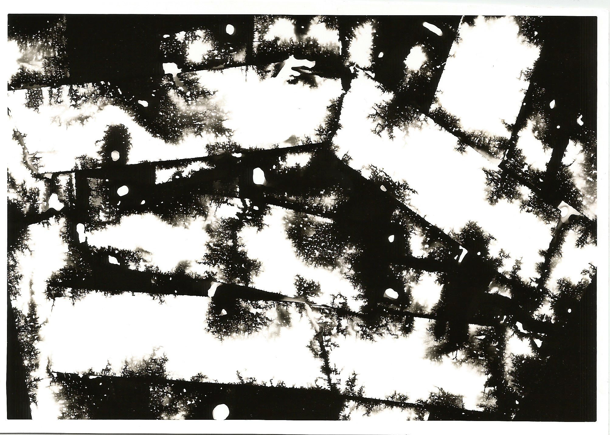 Scan 26.jpeg