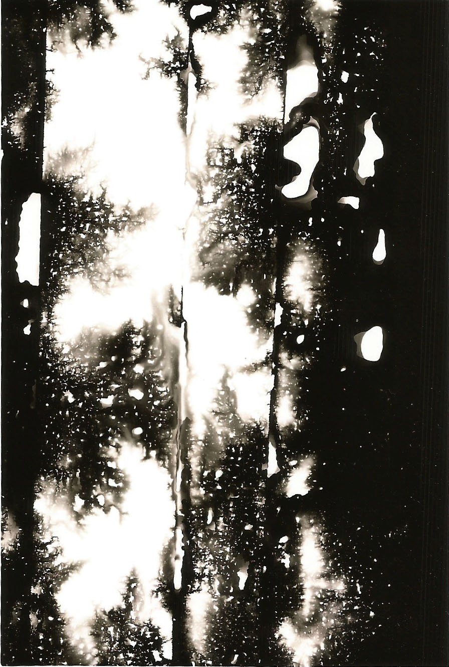Scan 23.jpeg