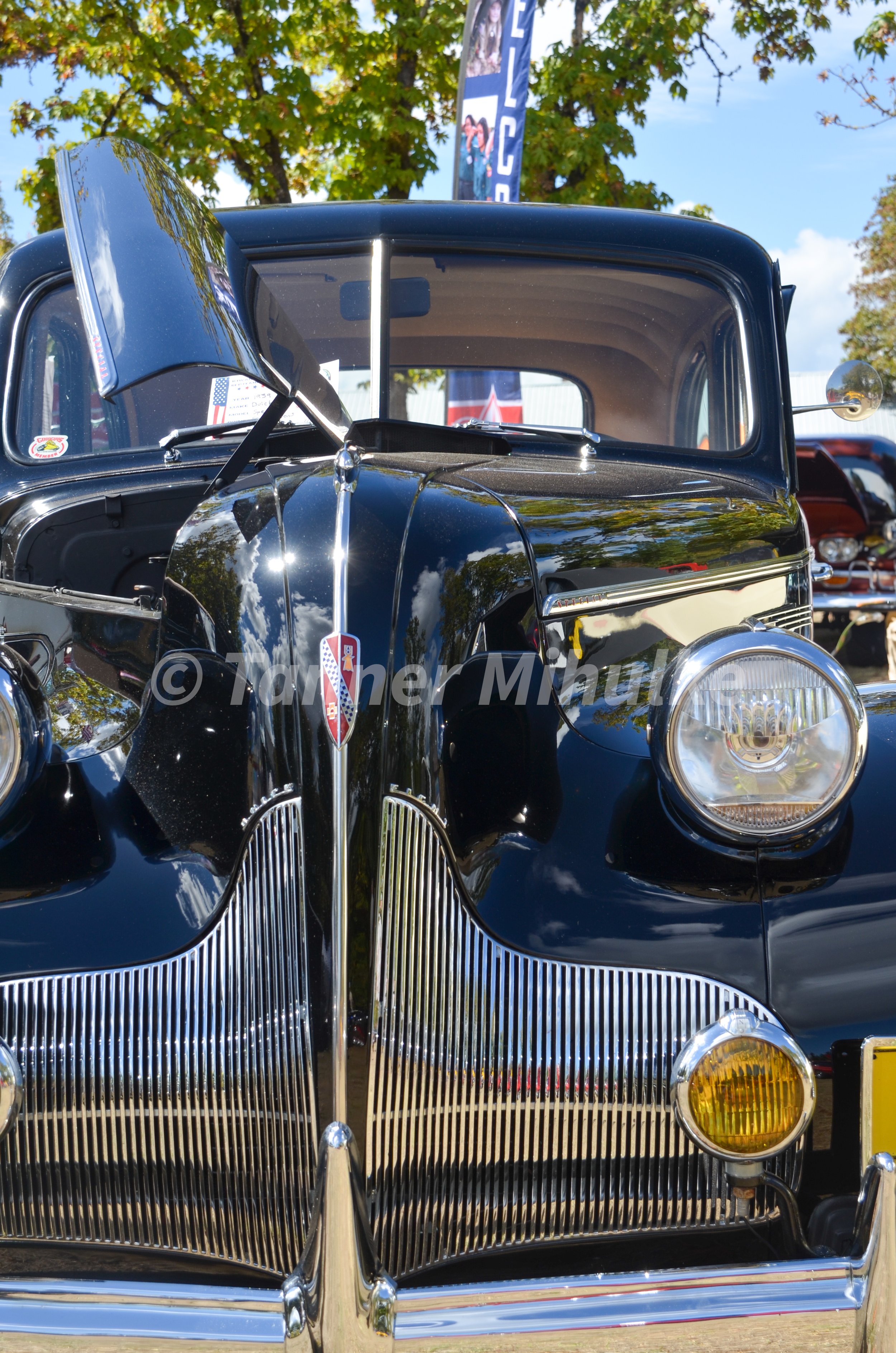 DSC_0935.JPG