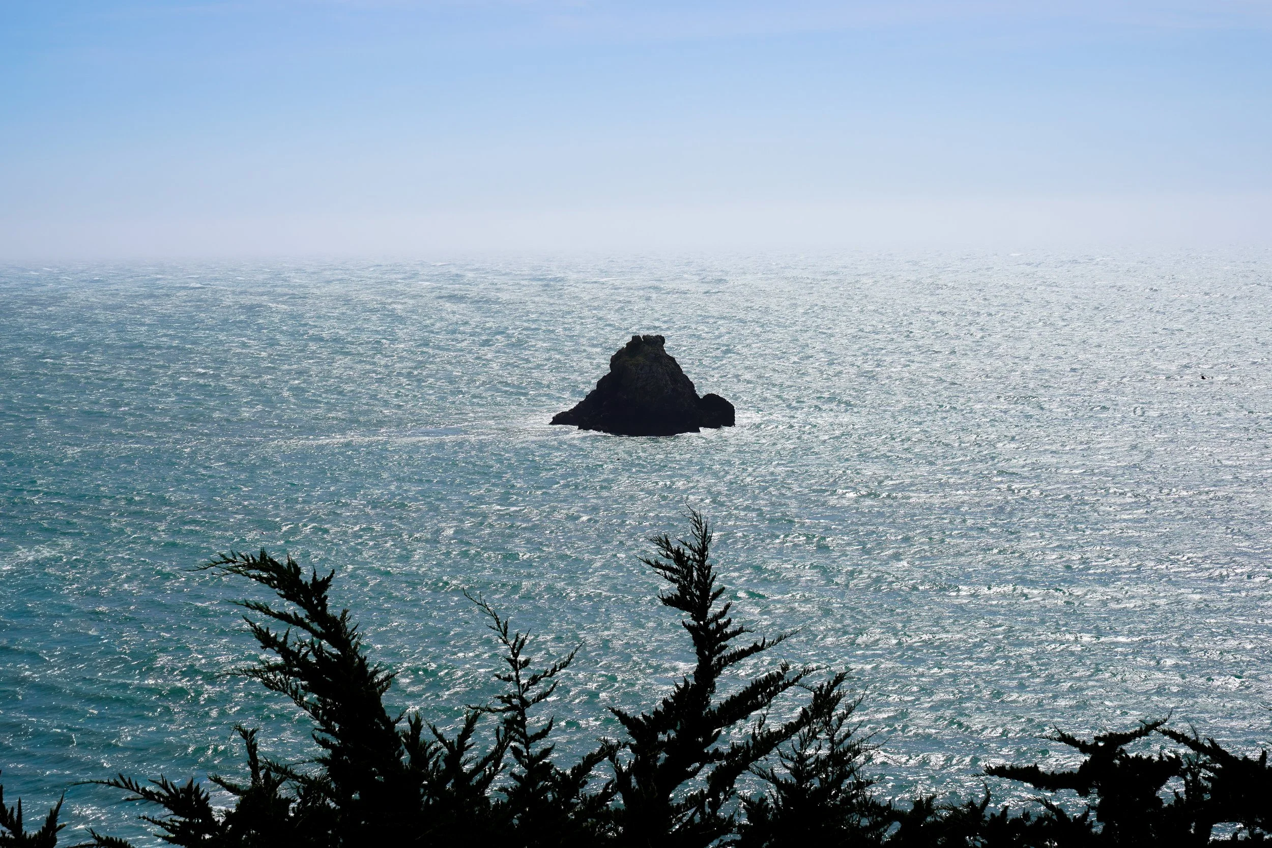 Redwoods-86.jpg