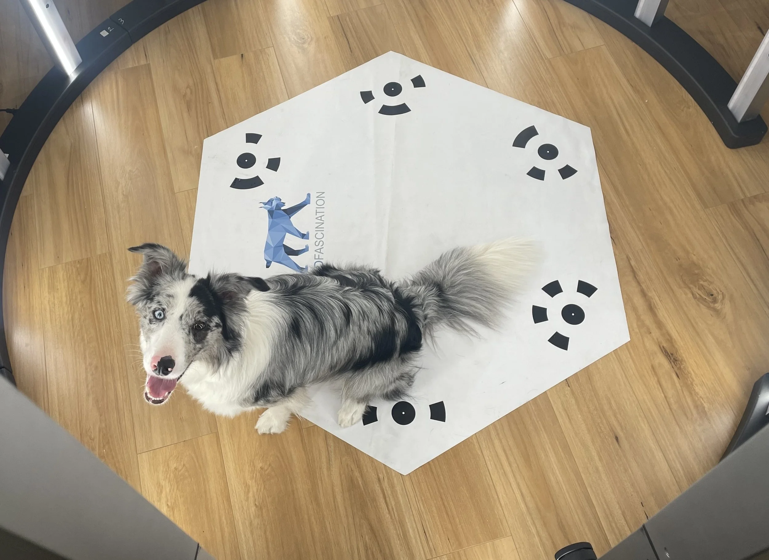 3D Scan Session Gift Voucher