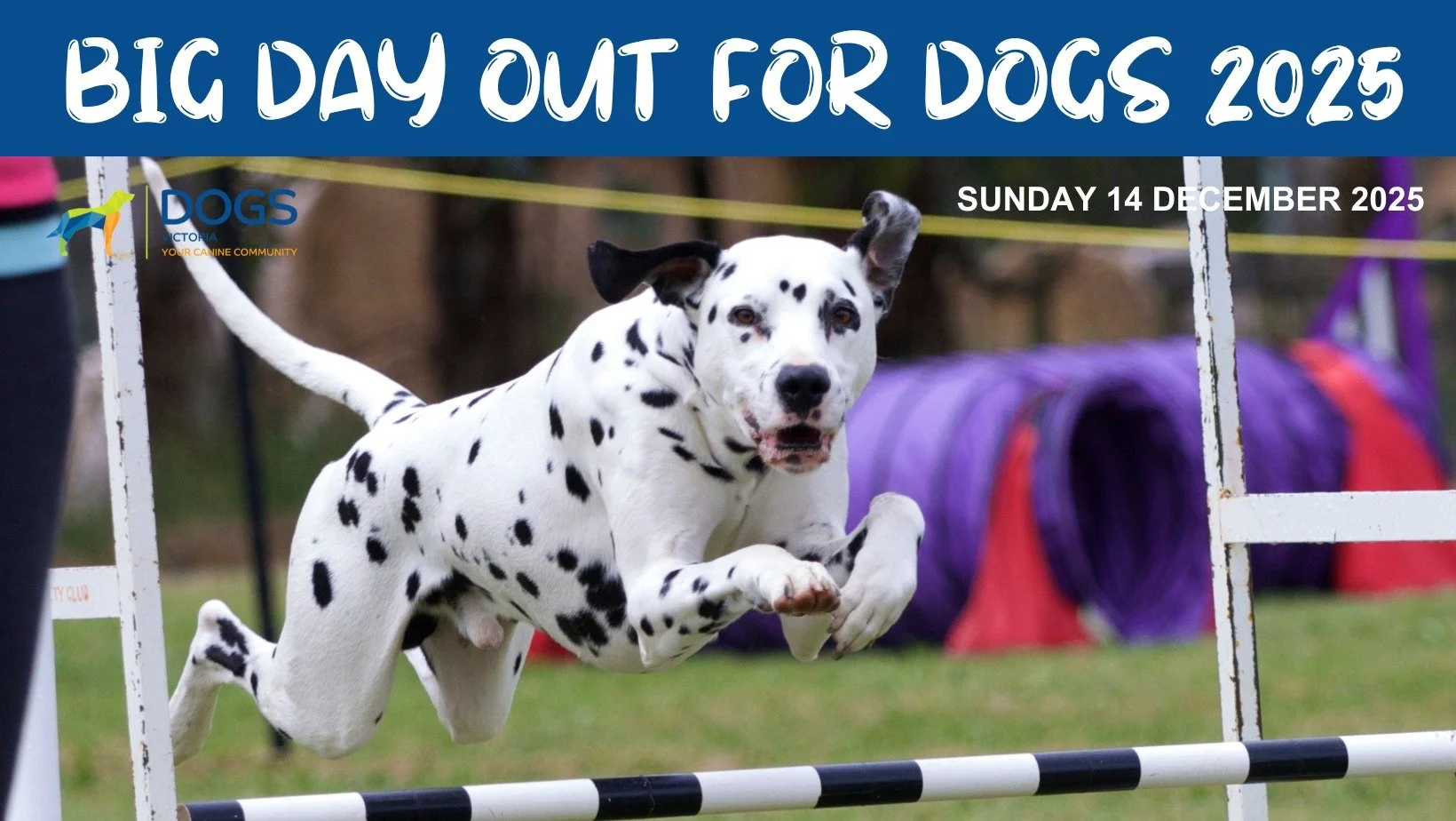 🐾 Big Day Out For Dogs 

📆 14 December 2025 

655 Westernport Hwy, Skye, VIC