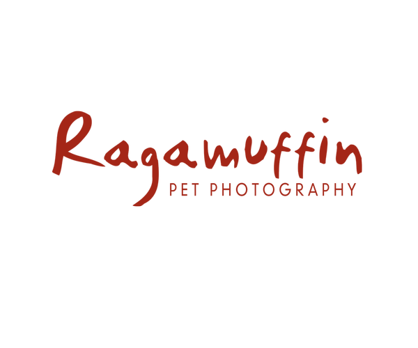 Logo for Ragamuffin Pet Photography with a silhouette of a dog and a cat.