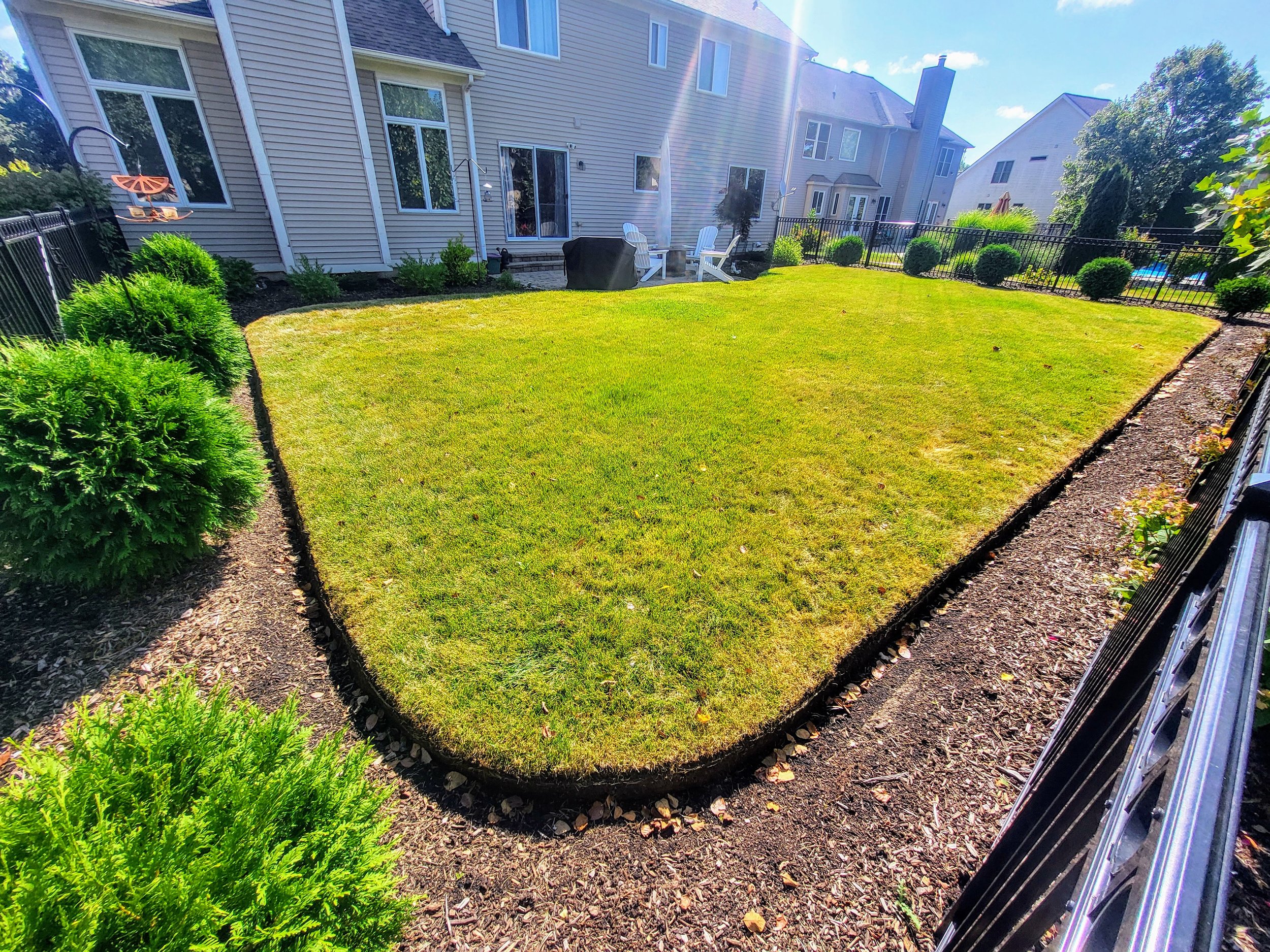 Backyard with well-maintained green lawn, surrounded by bushes and trees, enclosed by a black metal fence, with a two-story house in the background.