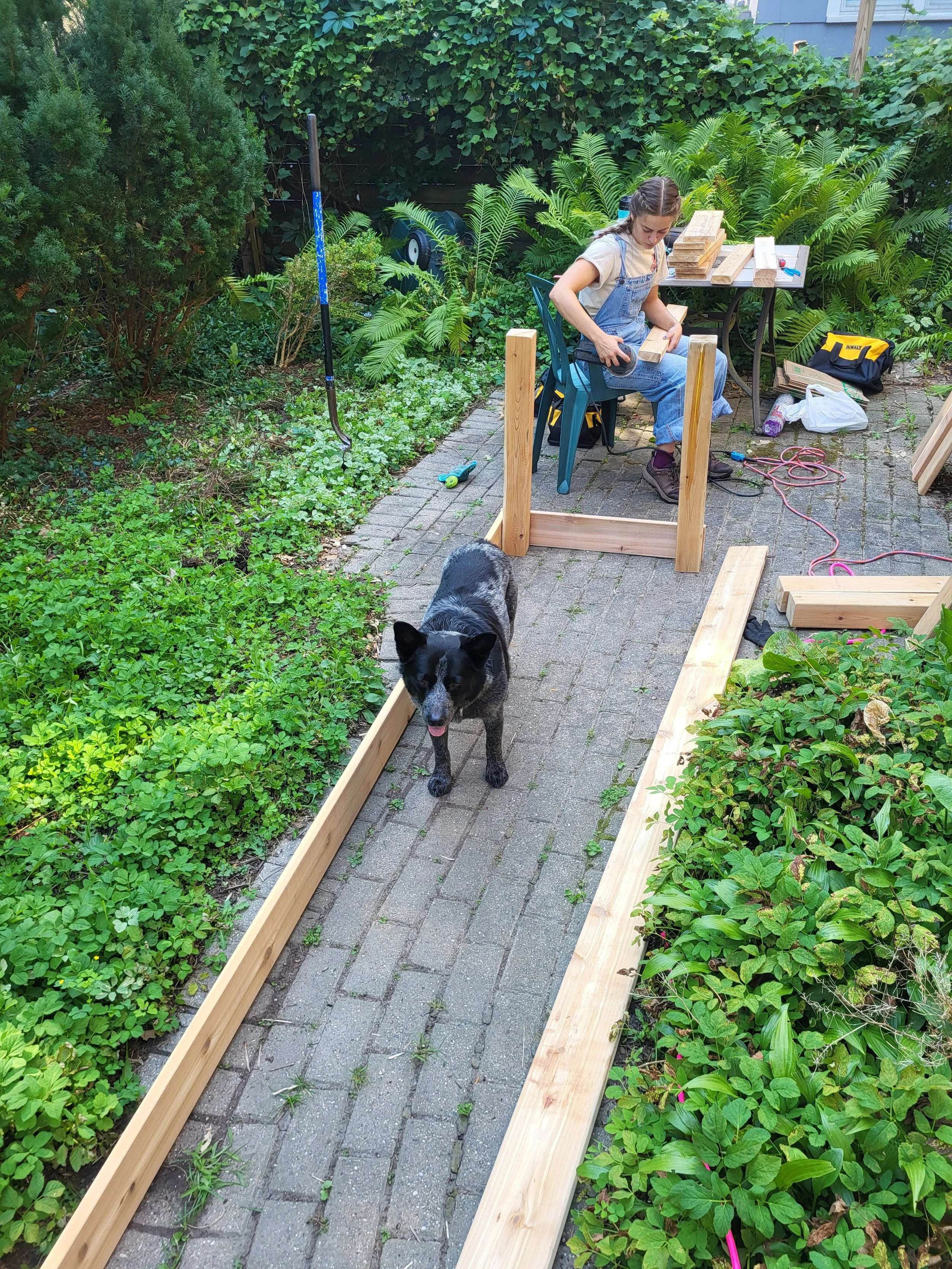Woman working on a woodworking project in a garden, with a black and white dog standing on a brick pathway nearby. Wooden planks and tools are scattered around.