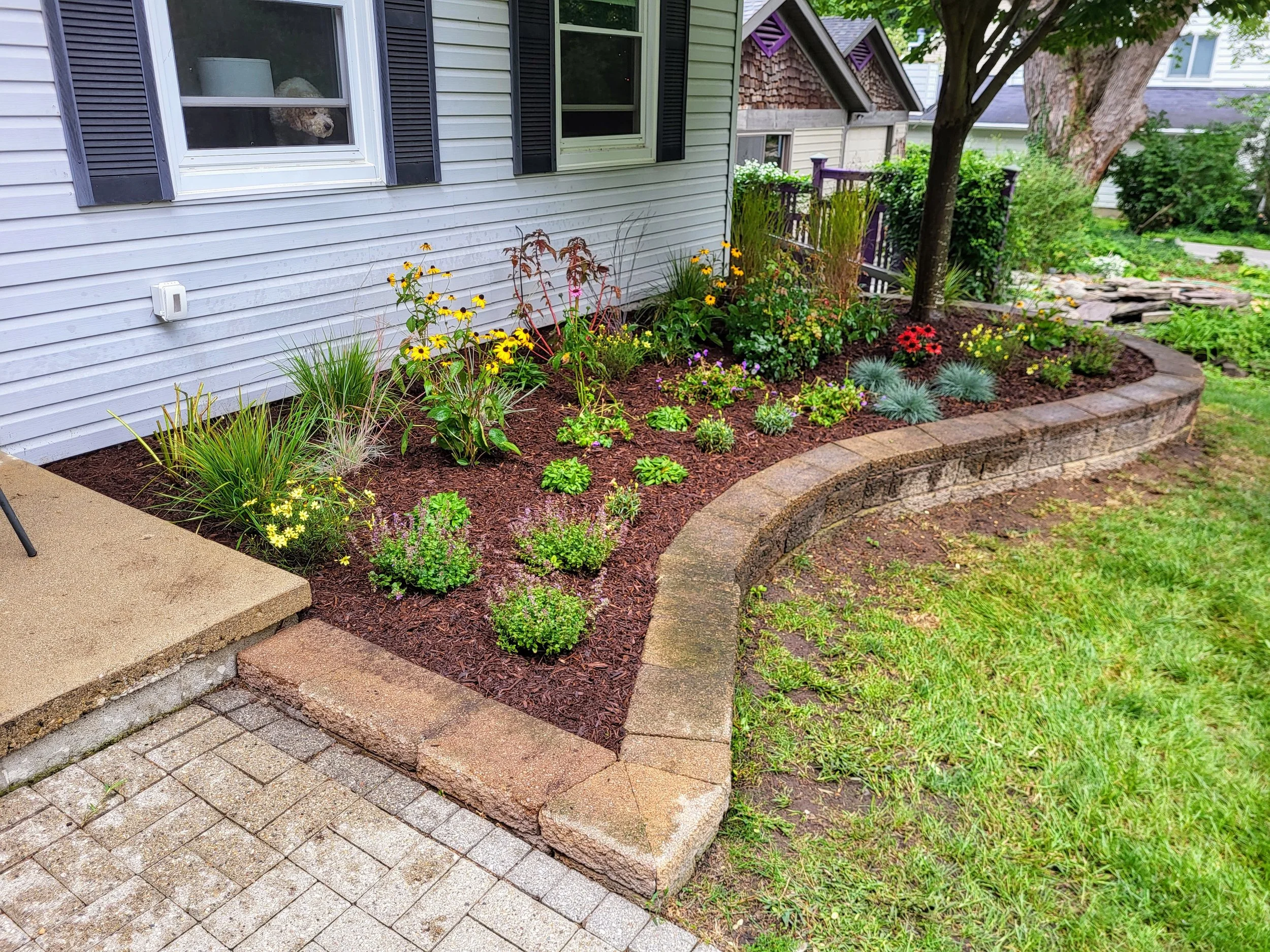 A beautiful landscaped garden with a curved brick border, various flowering plants, and a tree near a white house with blue shutters.