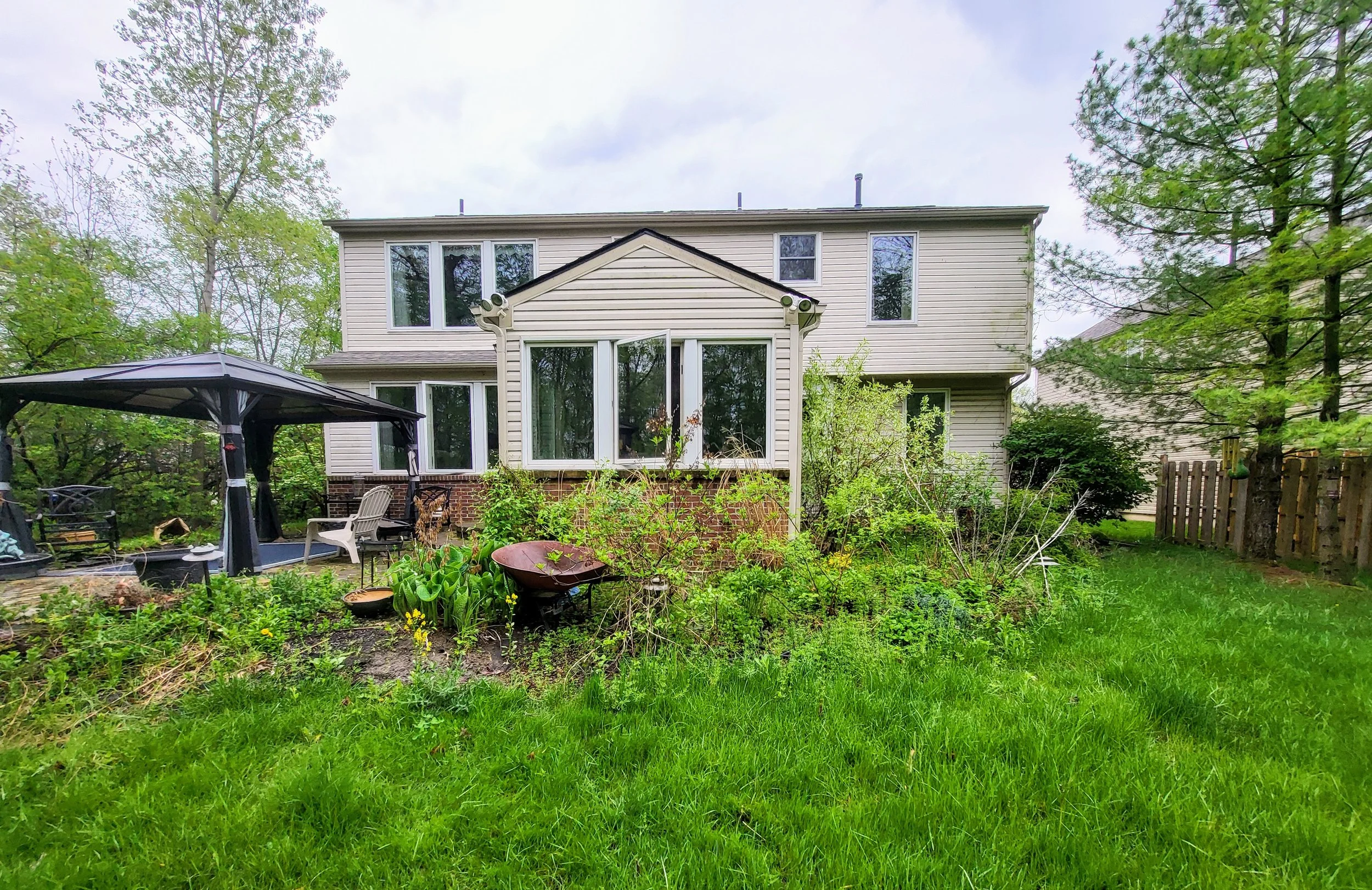 Backyard garden with overgrown plants messy garden a two-story house with beige siding, multiple windows, and a black gazebo. There is a grassy lawn, garden plants, and a patio with, chairs, and a wheelbarrow.