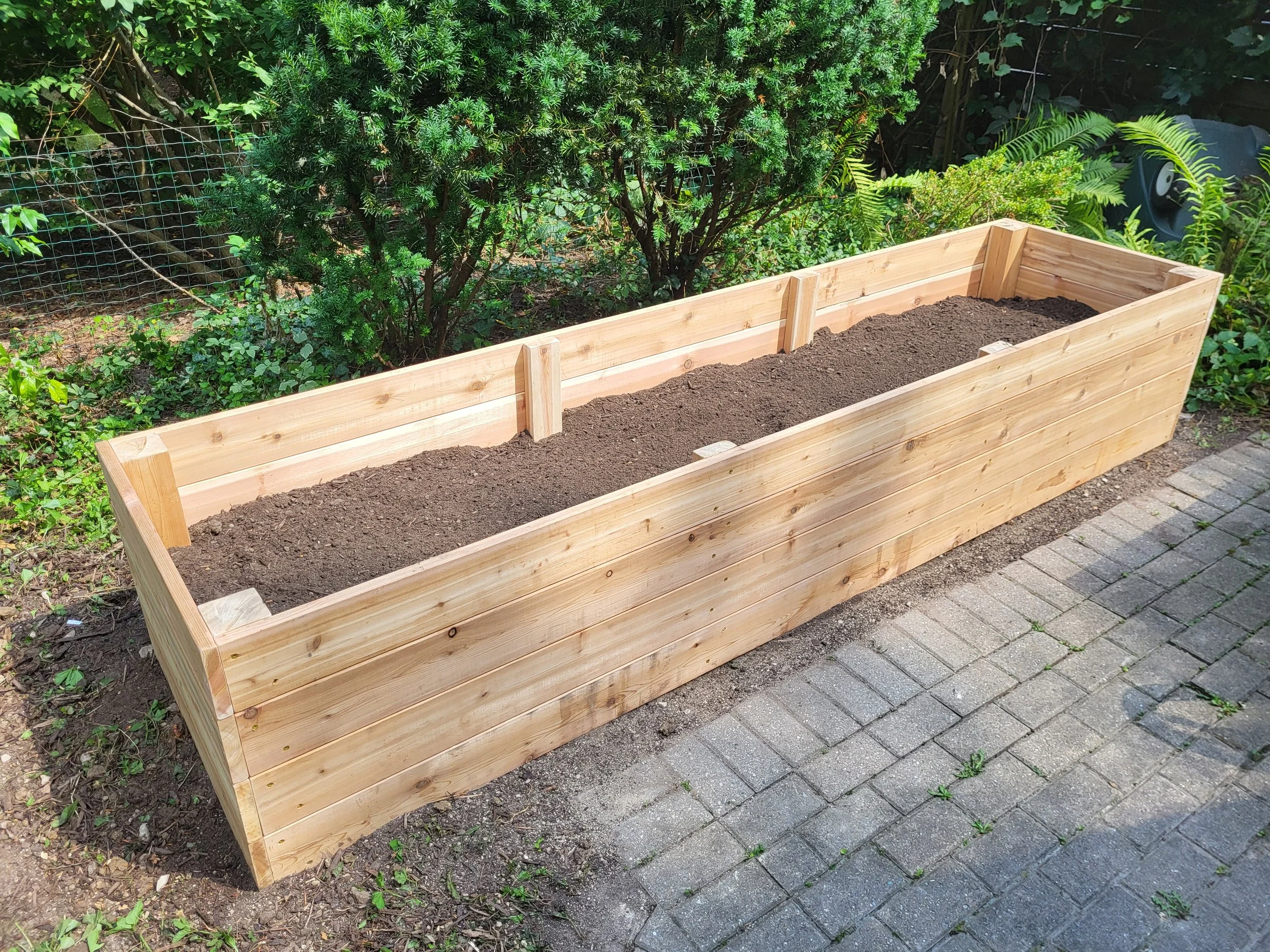 A long empty wooden garden bed filled with soil, situated next to a paved walkway and backed by green shrubs and plants.