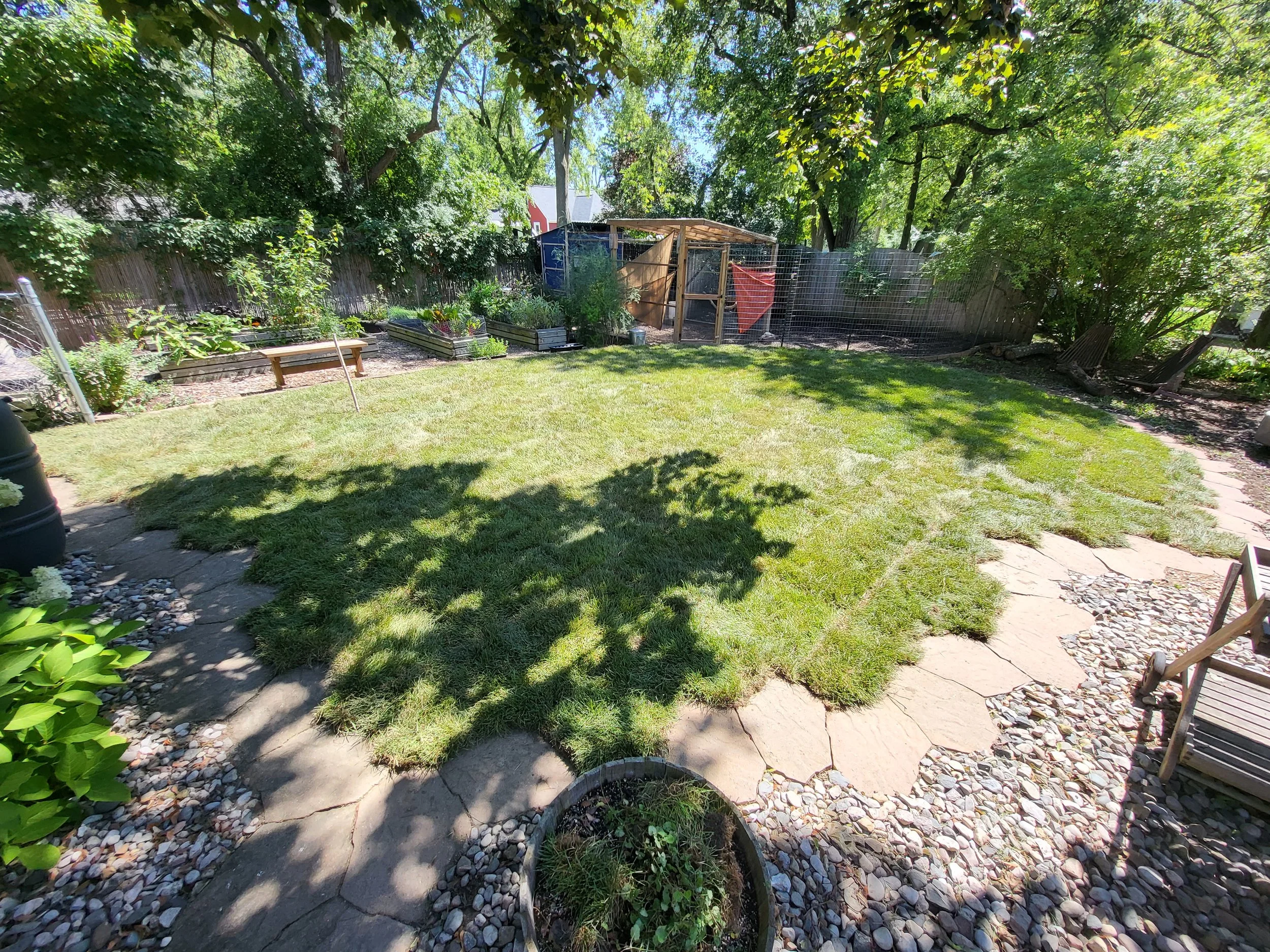 A backyard with a lush green lawn, surrounded by trees and a wooden fence. There's a garden bed with plants and a small shed or chicken coop in the background. Shadows of trees are cast across the yard.