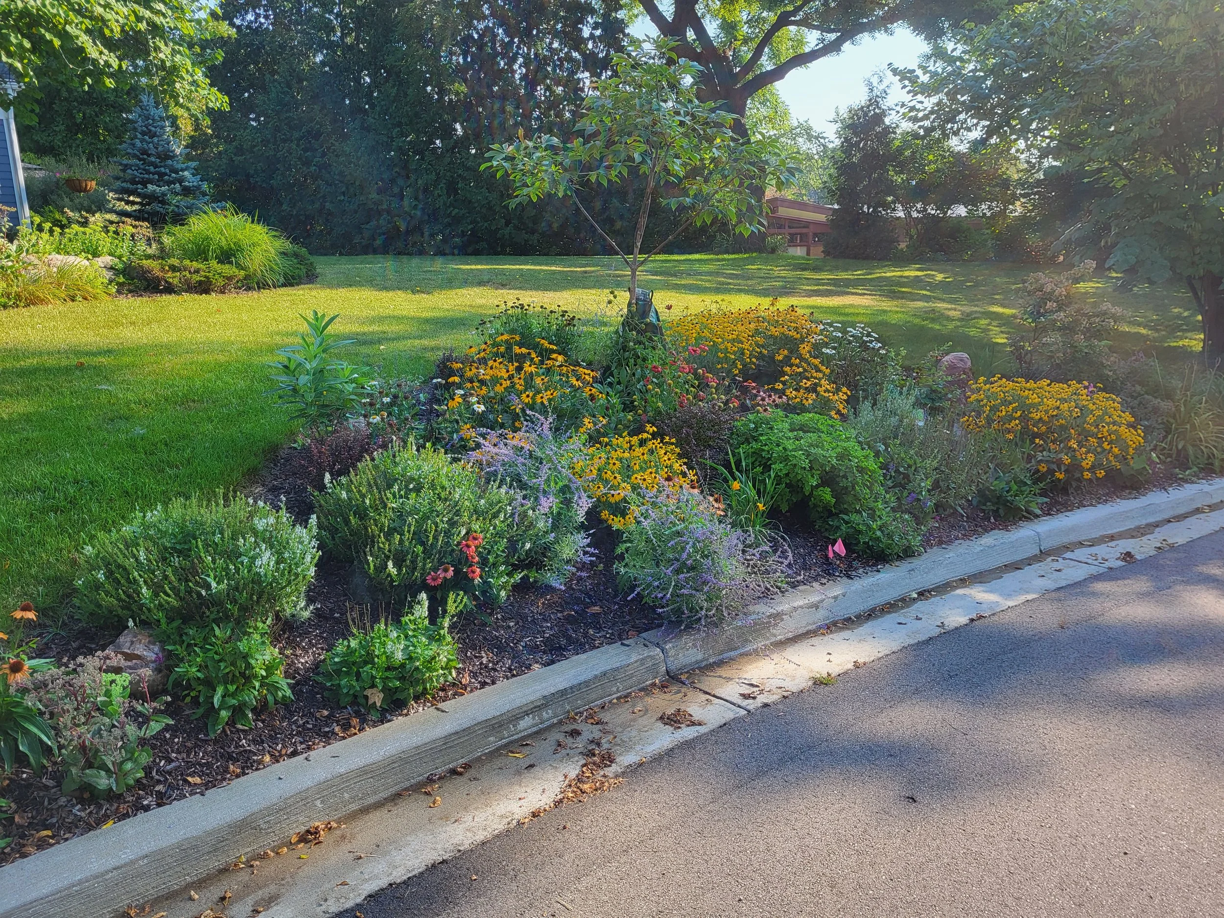 A landscaped garden bed with colorful flowers next to a curb and a grassy lawn, with trees and shrubs in the background.