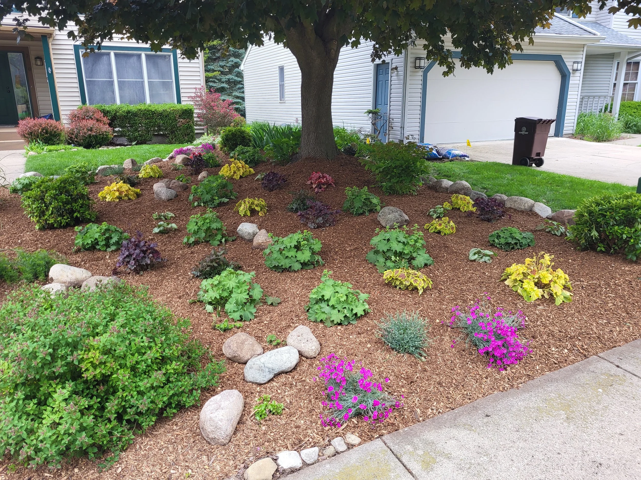 A well-maintained front yard with a variety of plants, flowers, and small bushes around a large tree, with a sidewalk in the foreground. In the background, there is a house with a blue door, a garage door, a trash bin, and some gardening supplies.