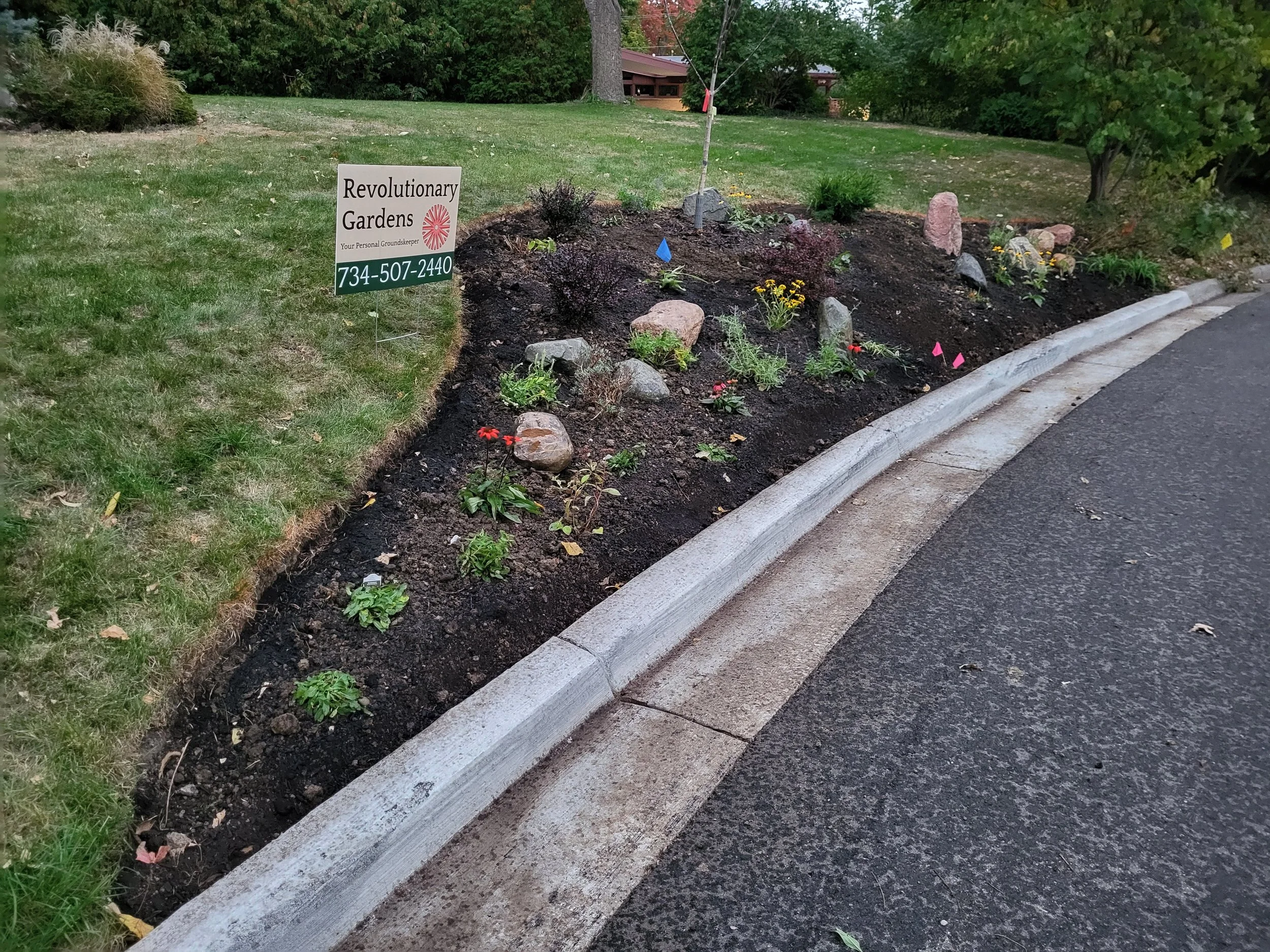 A newly landscaped flower bed along a sidewalk in a residential area, with small plants, rocks, and a sign for Revolutionary Gardens.