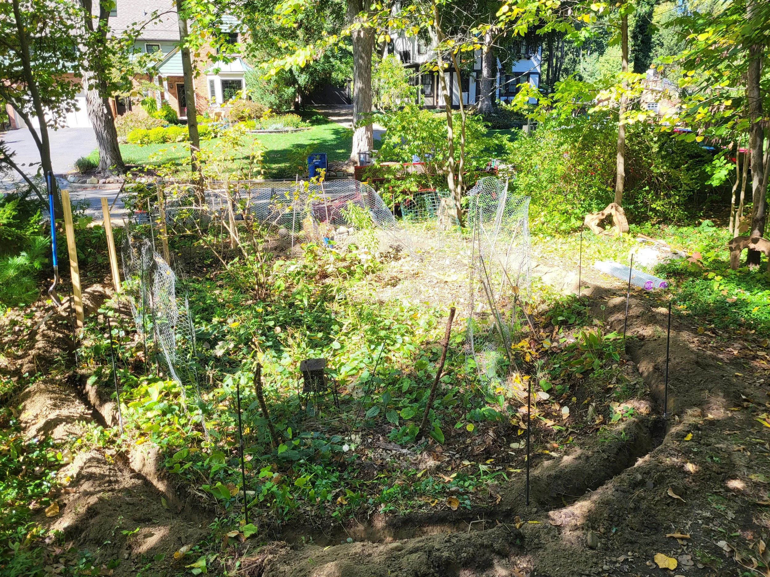 A backyard garden with newly planted beds, protected by small wire fencing, surrounded by trees and shrubs, with neighboring houses and a driveway visible in the background.
