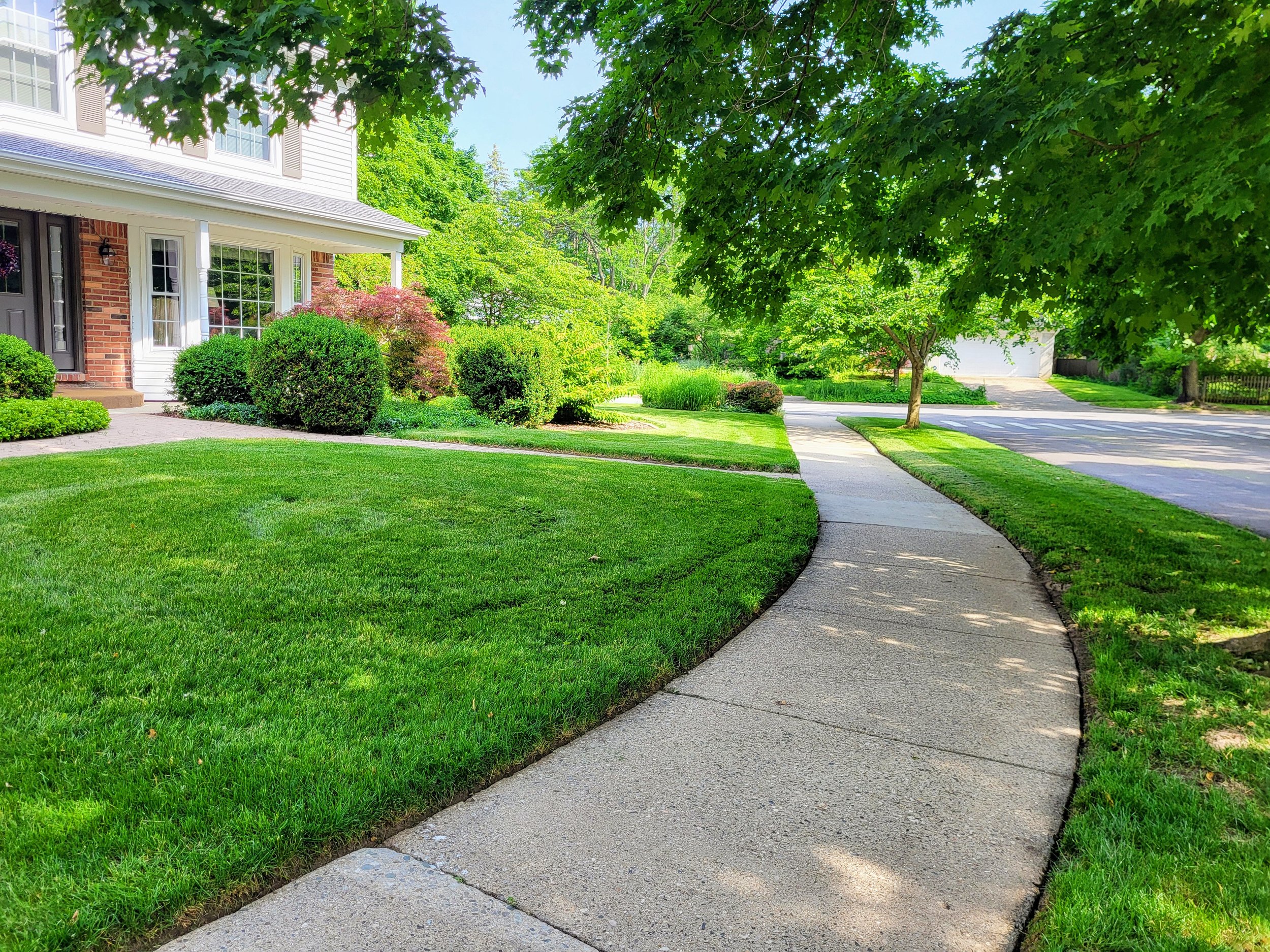 A curved concrete sidewalk in a suburban neighborhood, bordered by a well-maintained grassy lawn, with trees and bushes lining the front of a house, and a street visible in the background on a sunny day.