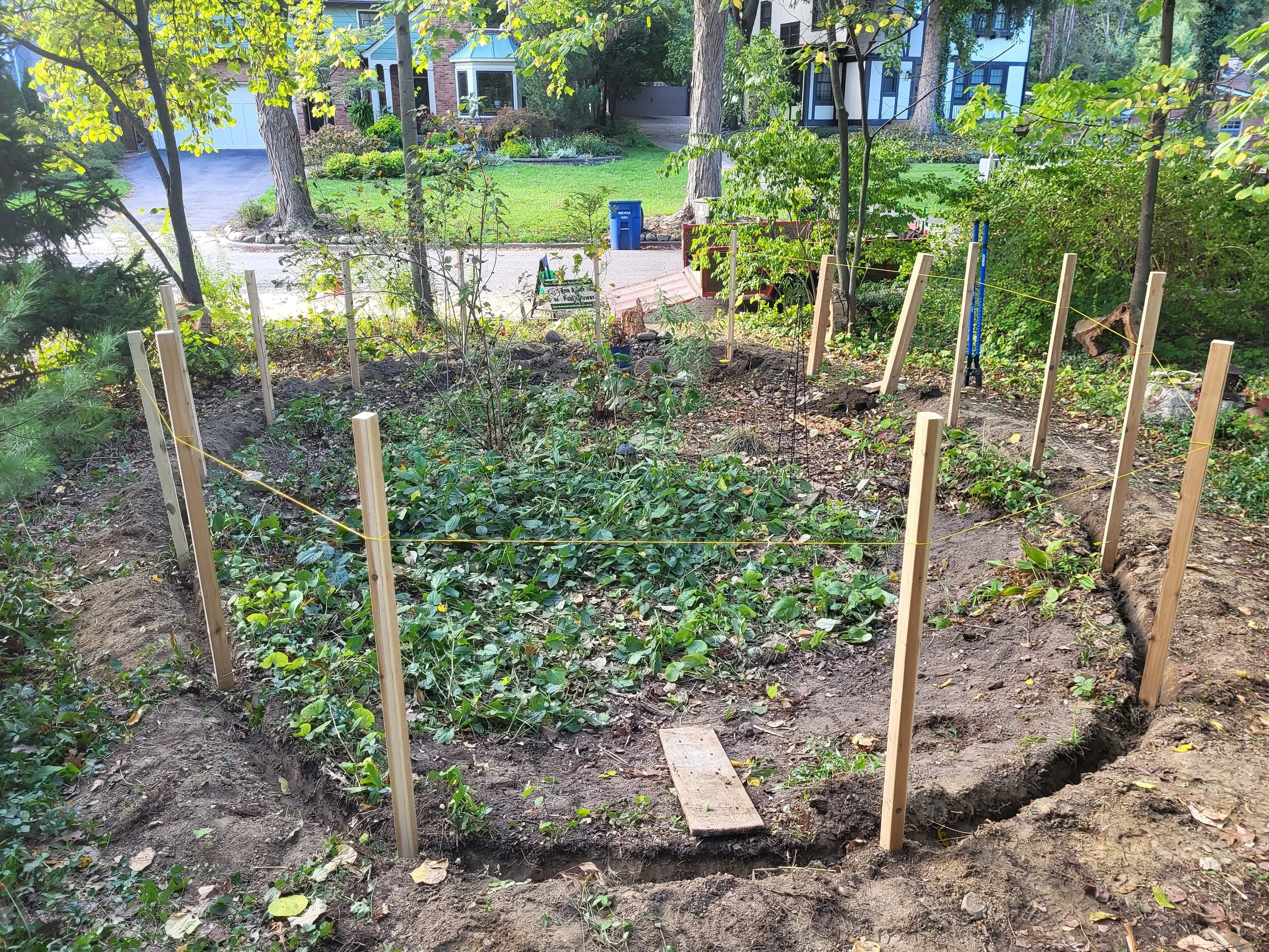 A garden bed under construction with wooden stakes and yellow string forming a boundary, surrounded by soil, with various green plants growing inside, located in a suburban yard with trees and houses in the background.