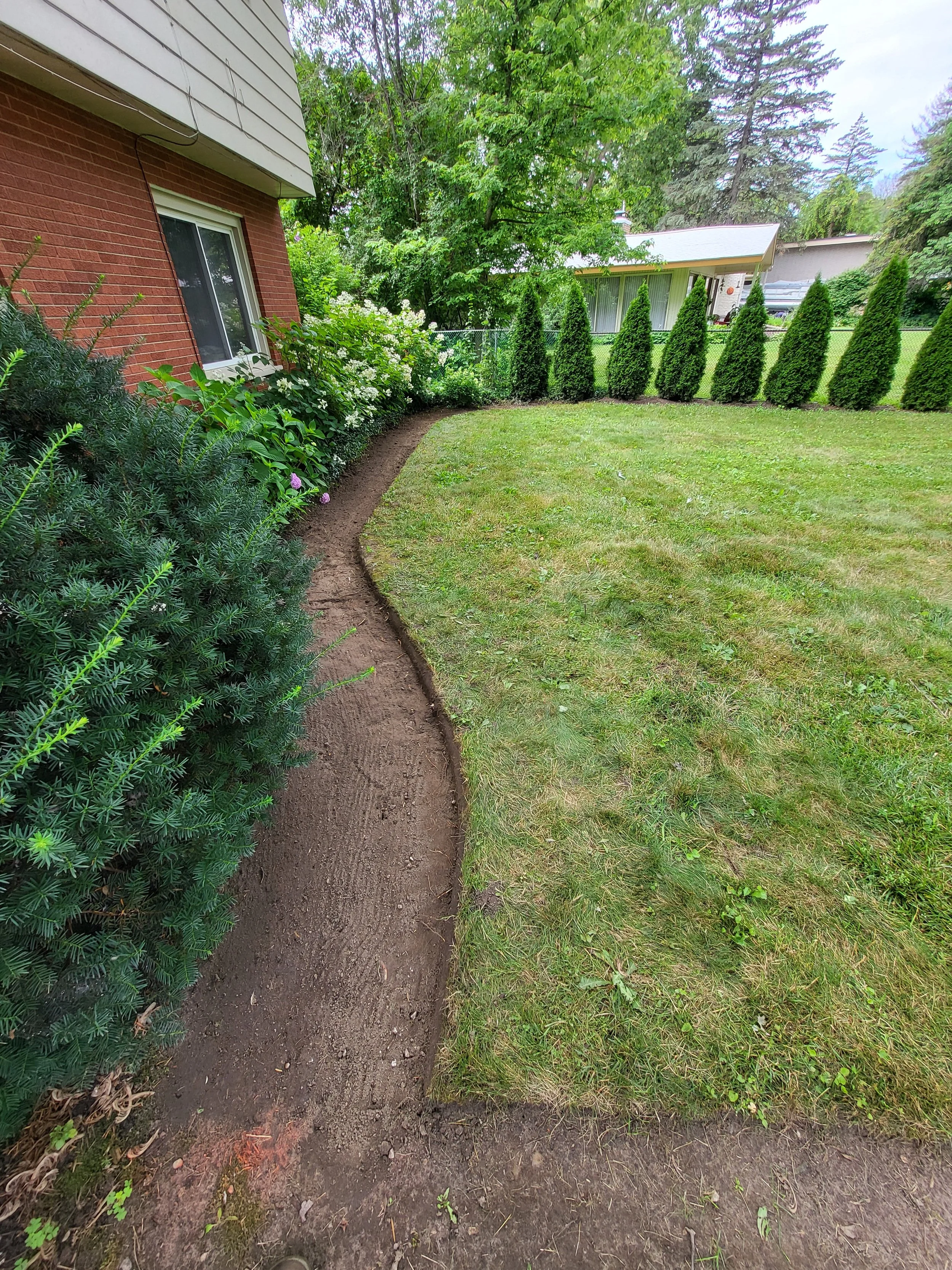 A backyard garden with a partially bordered dirt pathway, green lawn, and tall evergreen bushes along the fence. A brick house is on the left and neighboring houses are visible across the fence.