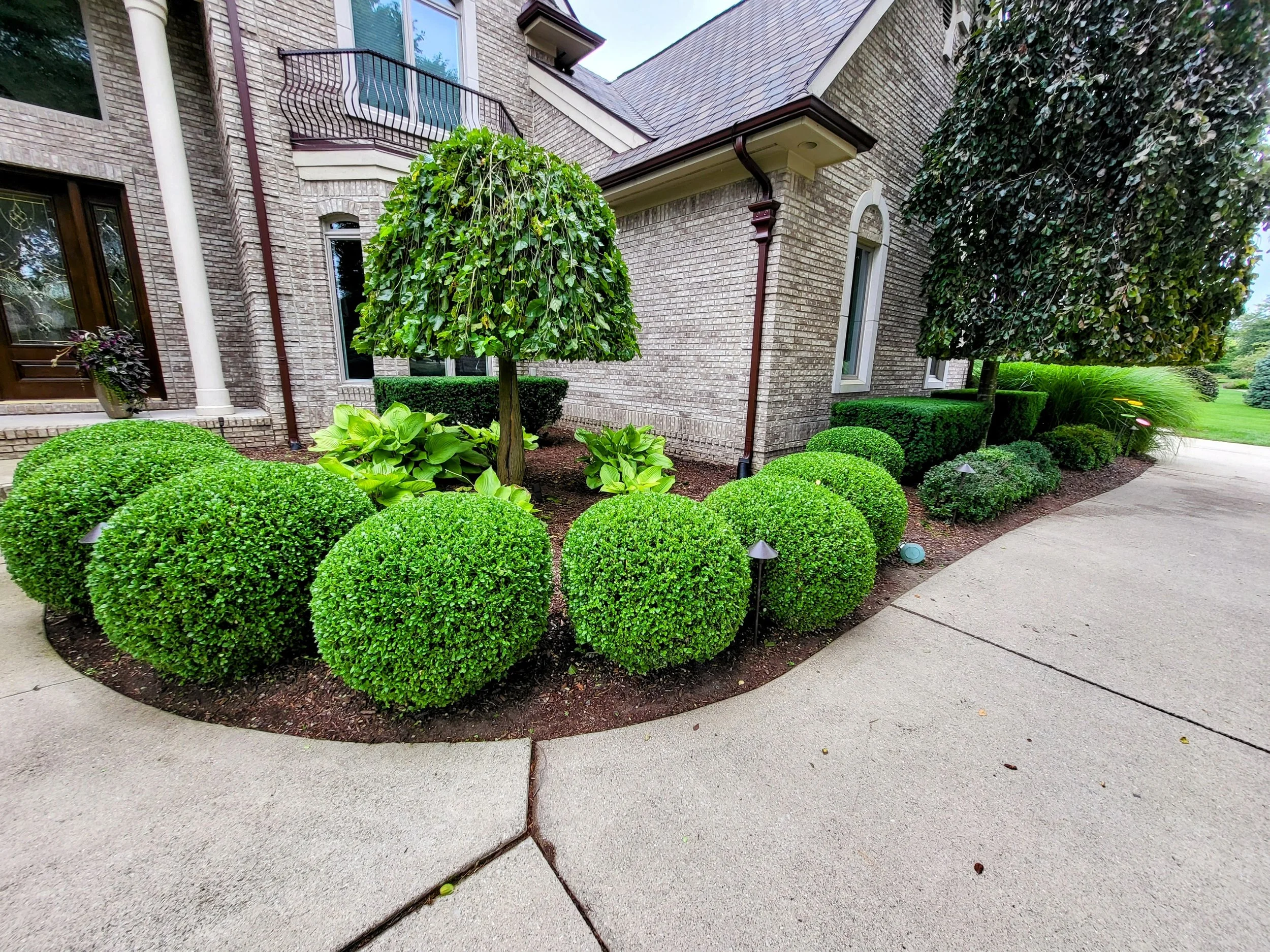 Well-maintained front yard with trimmed round bushes, trees, green plants, and a brick house with a curved walkway.