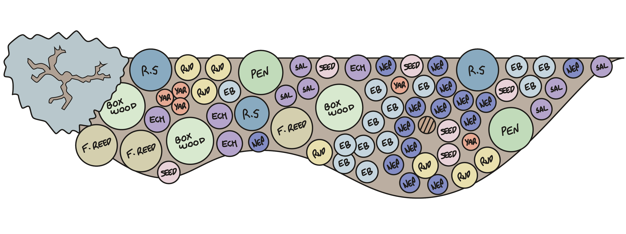 Cross-section of a soil profile showing various soil horizons and labeled soil types like R.S, PEN, BOXWOOD, F.REED, and different soil textures and colors.