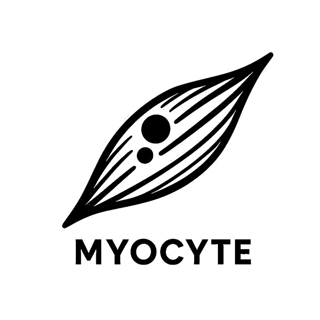 MYOCYTE