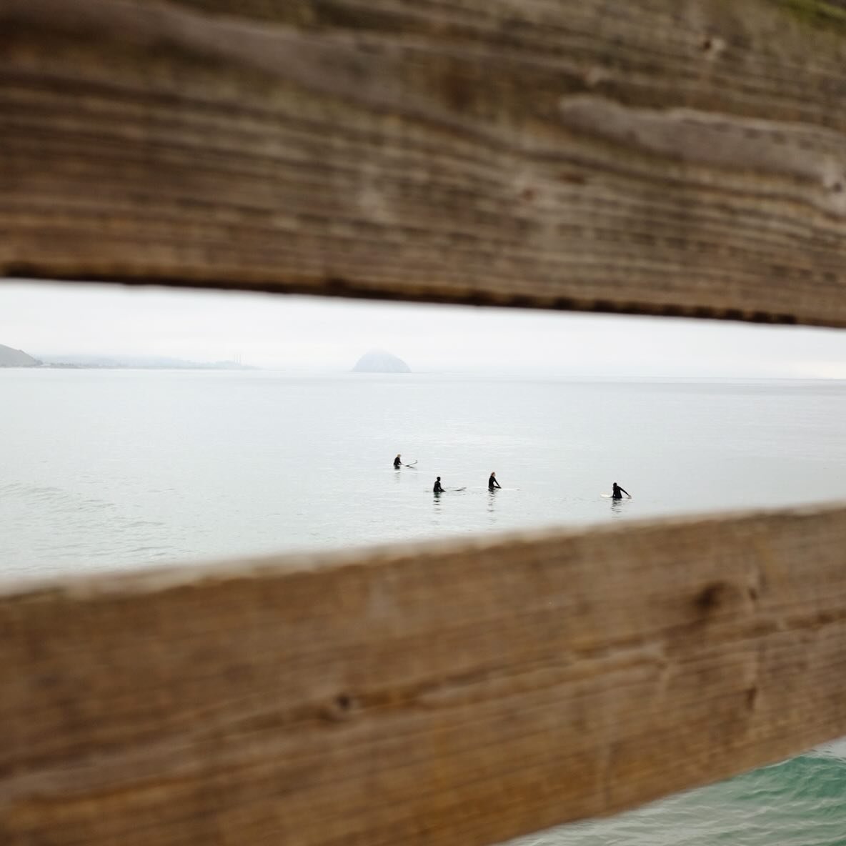 Great family outing to Cayucos this weekend. The girls watched the surfers for what felt like a lifetime, and gave them words of affirmation and tips from the pier. Blue corn waffles and coffee to top it all off ✨