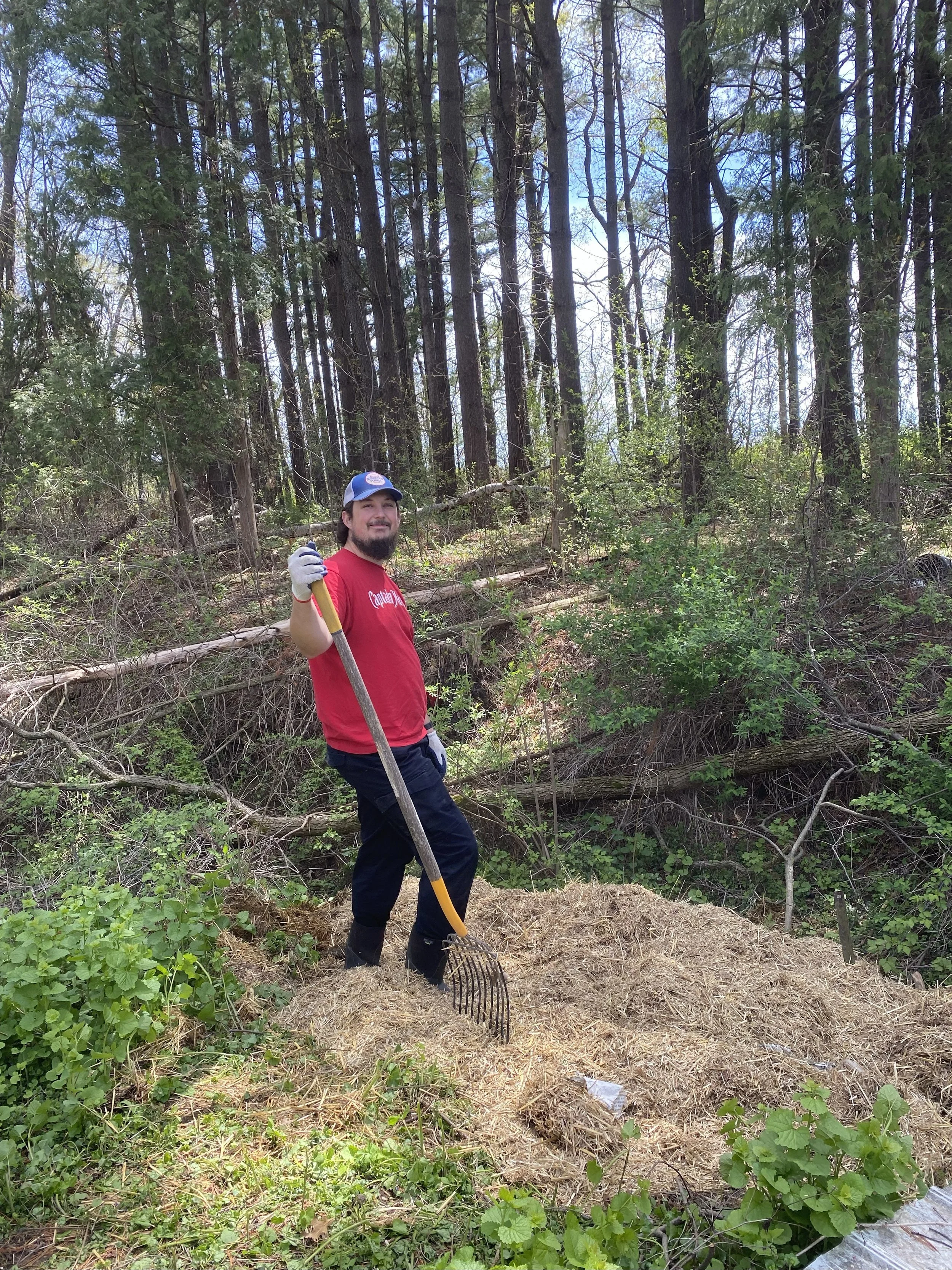 A man in a red shirt, black pants, and a baseball cap stands in a wooded area holding a rake, surrounded by green plants, fallen leaves, and trees.