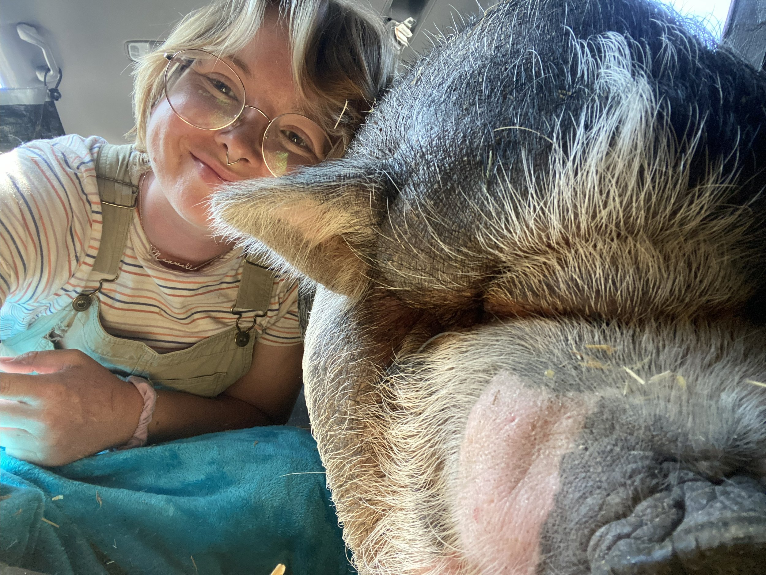 A young woman with blonde hair, glasses, and a striped shirt smiling next to a large pig with bristly hair, lying down on a teal blanket in a barn or farm setting.