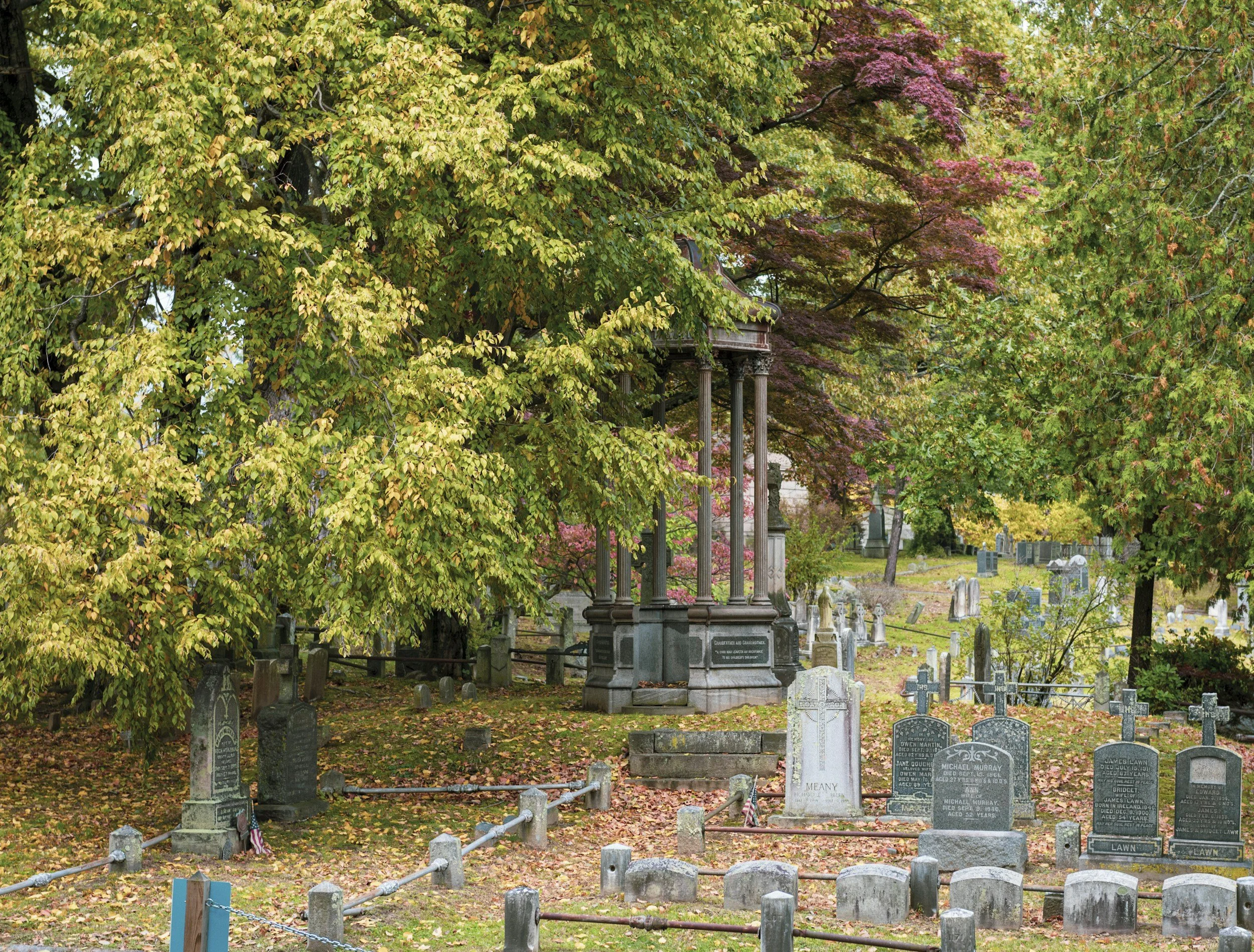 Exploring the Rivertowns: A Journey Through My Heart