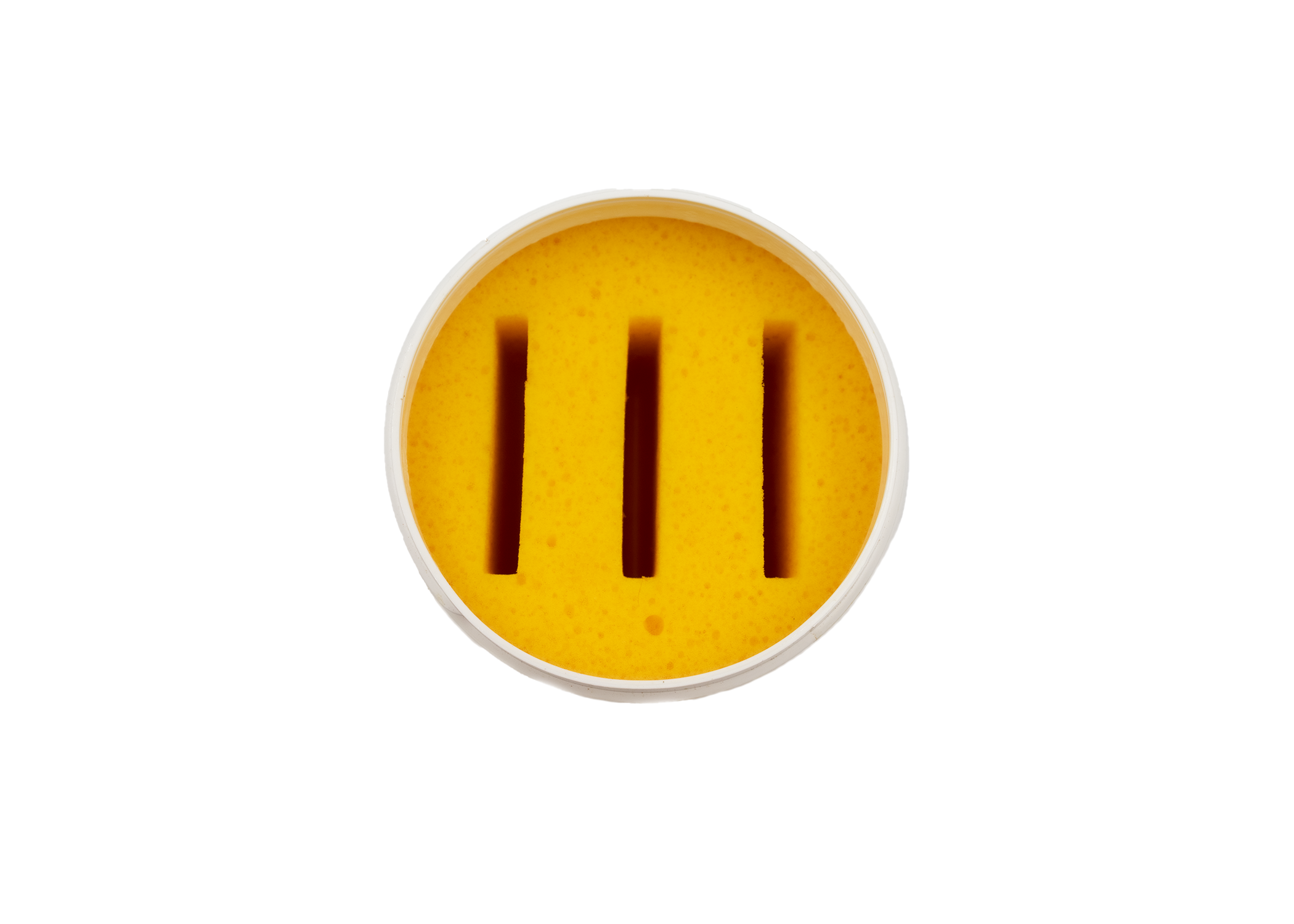 IMG_3827.PNG