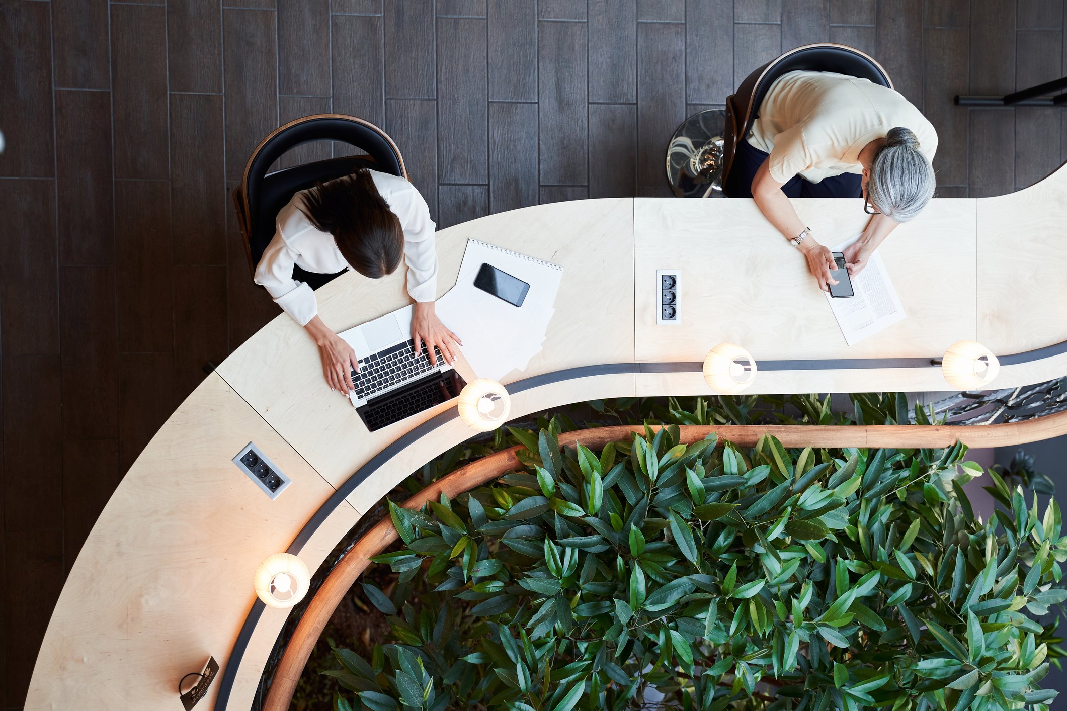 Two woman arial view, sit at desk side by side on their laptops