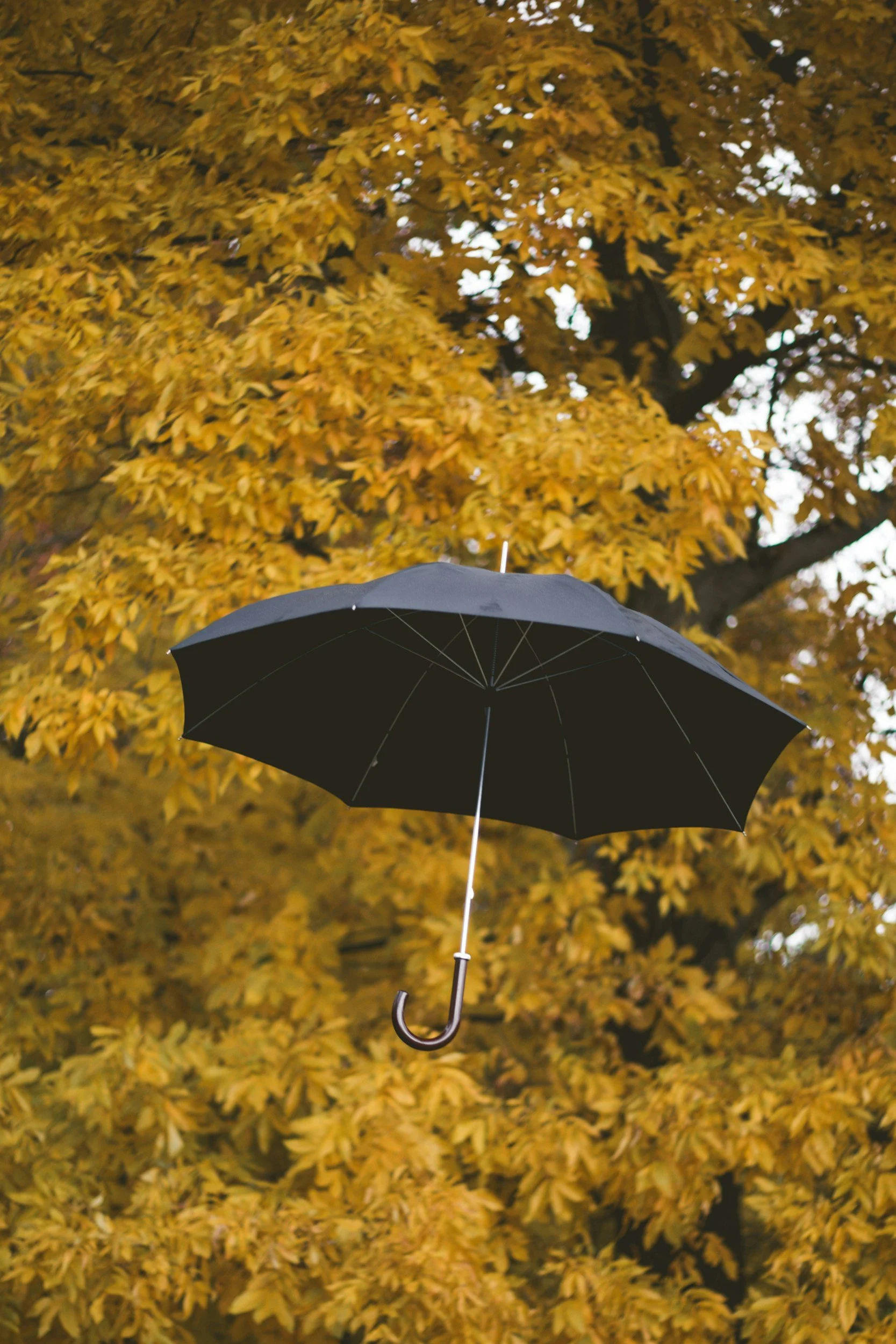 People-Pleasing: Why It Happens and How to Set Healthier Boundaries in Calgary