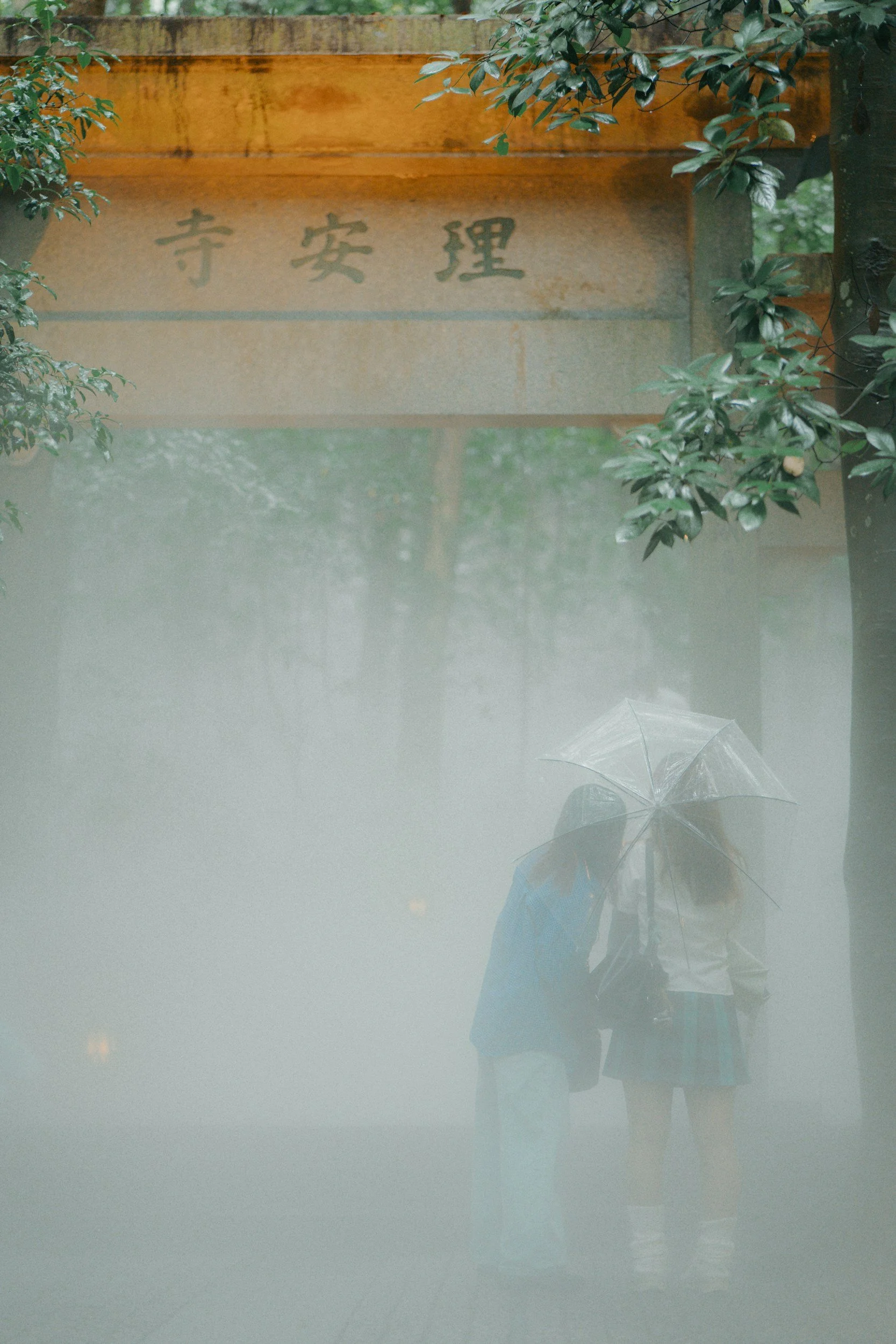 Finding Calm in the Middle of It All: The Benefits of Mindfulness Meditation