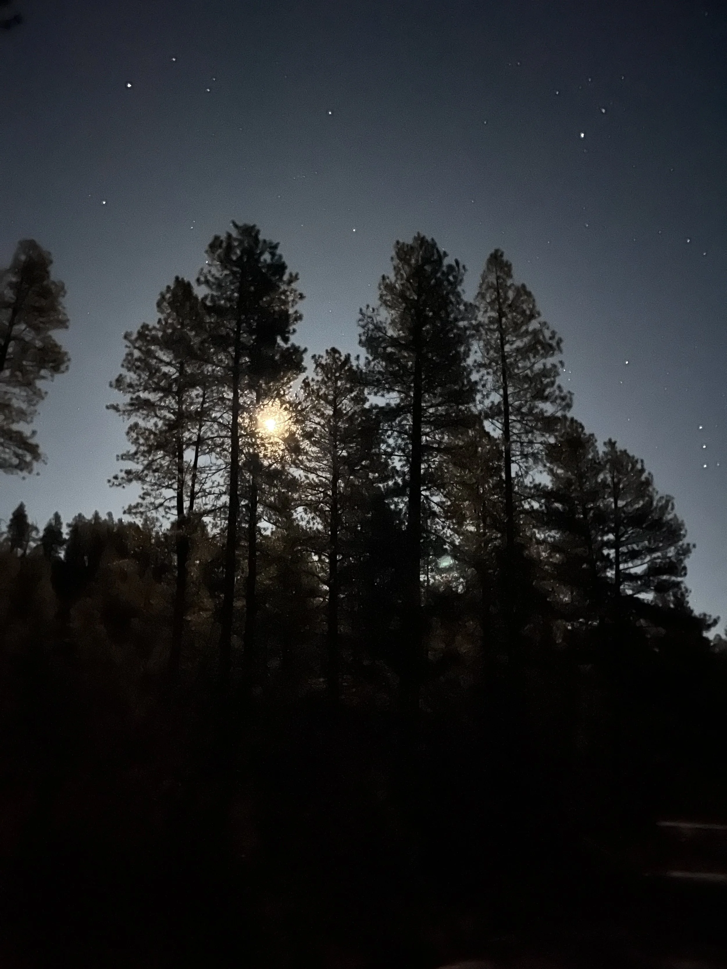 Newsletter 5: Learning how to walk in the dark