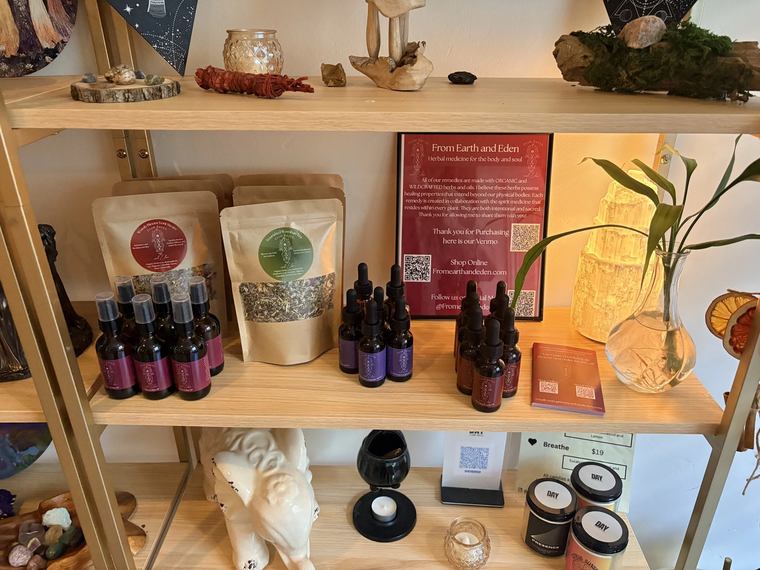 Newsletter 6: Returning To Innate Rhythms