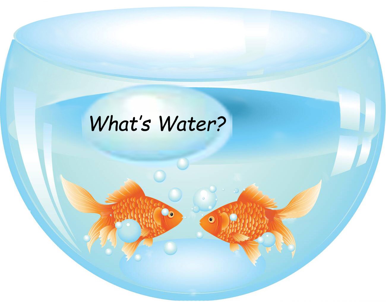 What’s your water?