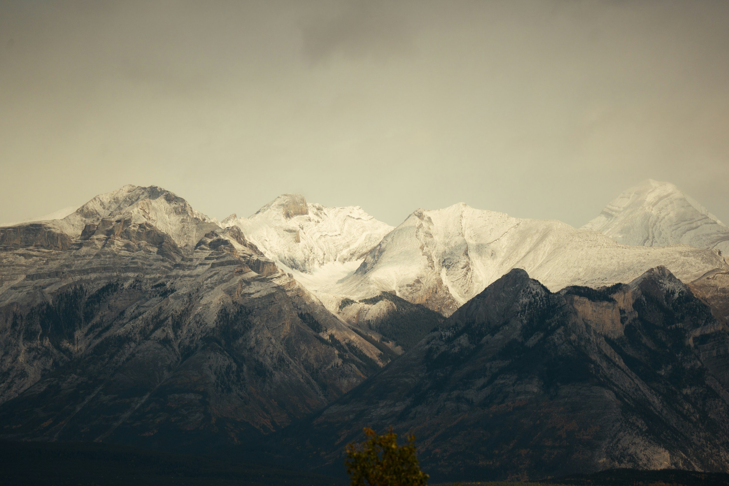 unsplash-image-RqtyeqBeFCg.jpg