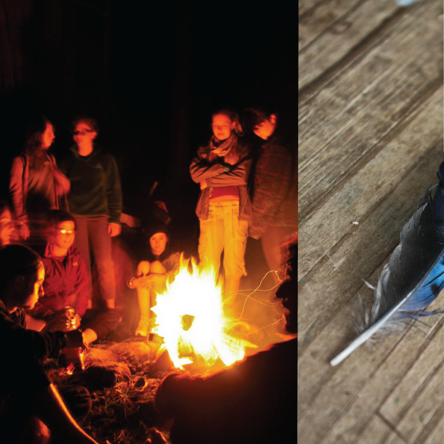 camp 5.png
