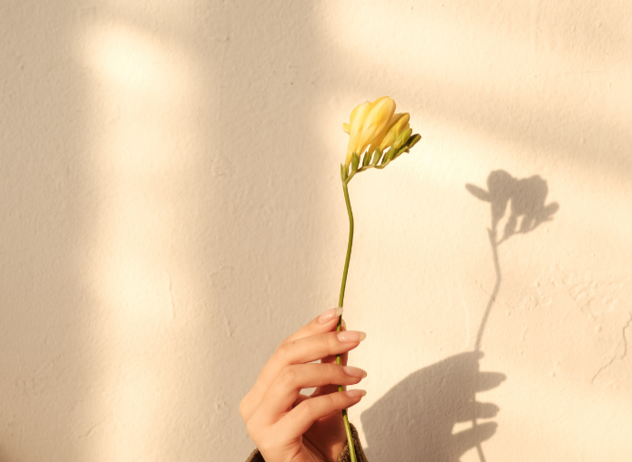 MEDITATION + JOURNALING ( I am Grateful ) w/ Bettina