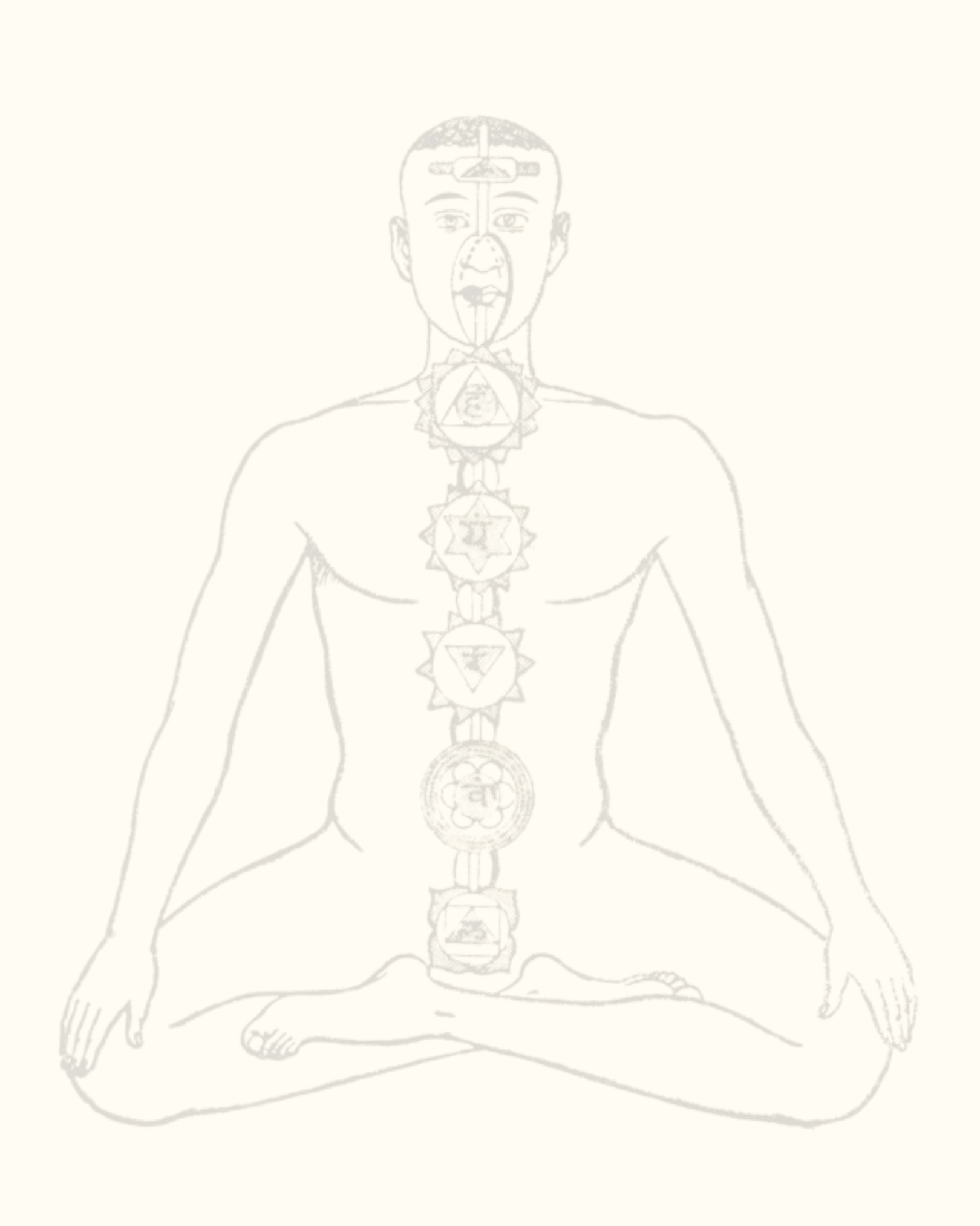 EMBODIED FOUNDATIONS ( Yoga Series ) w/ Tina