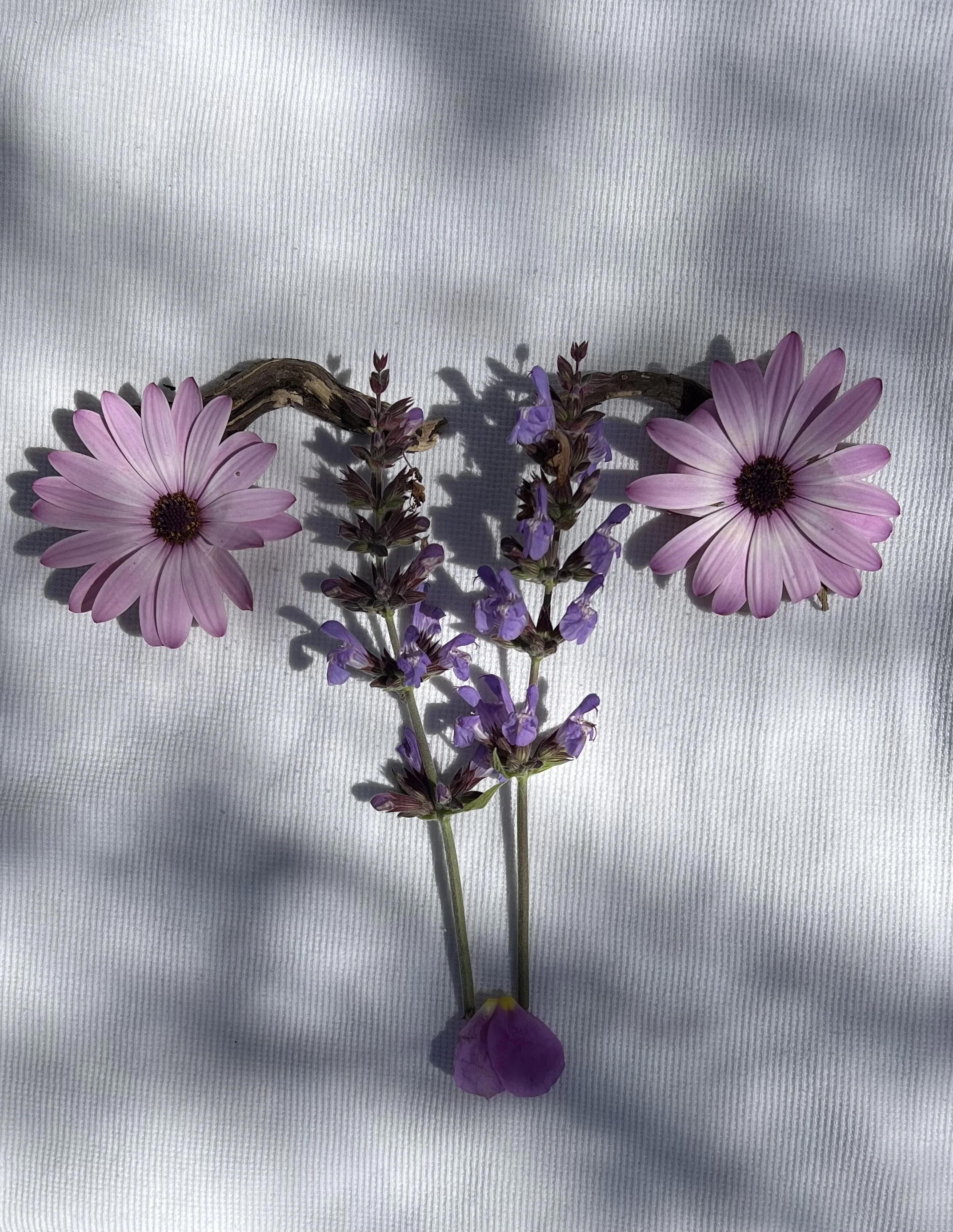 The Inner Four Seasons w/ Hanna Sperr