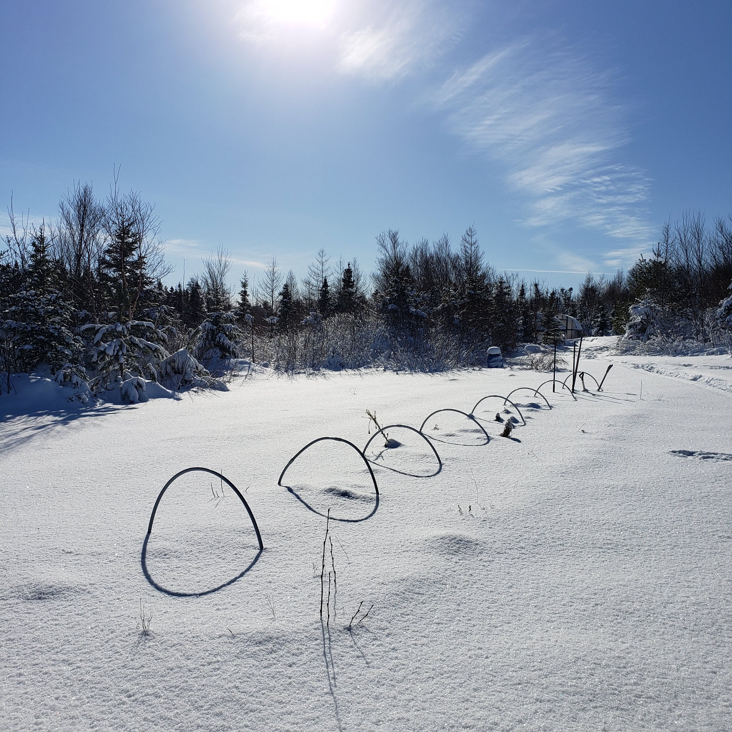 Finding Growth Beneath the Surface