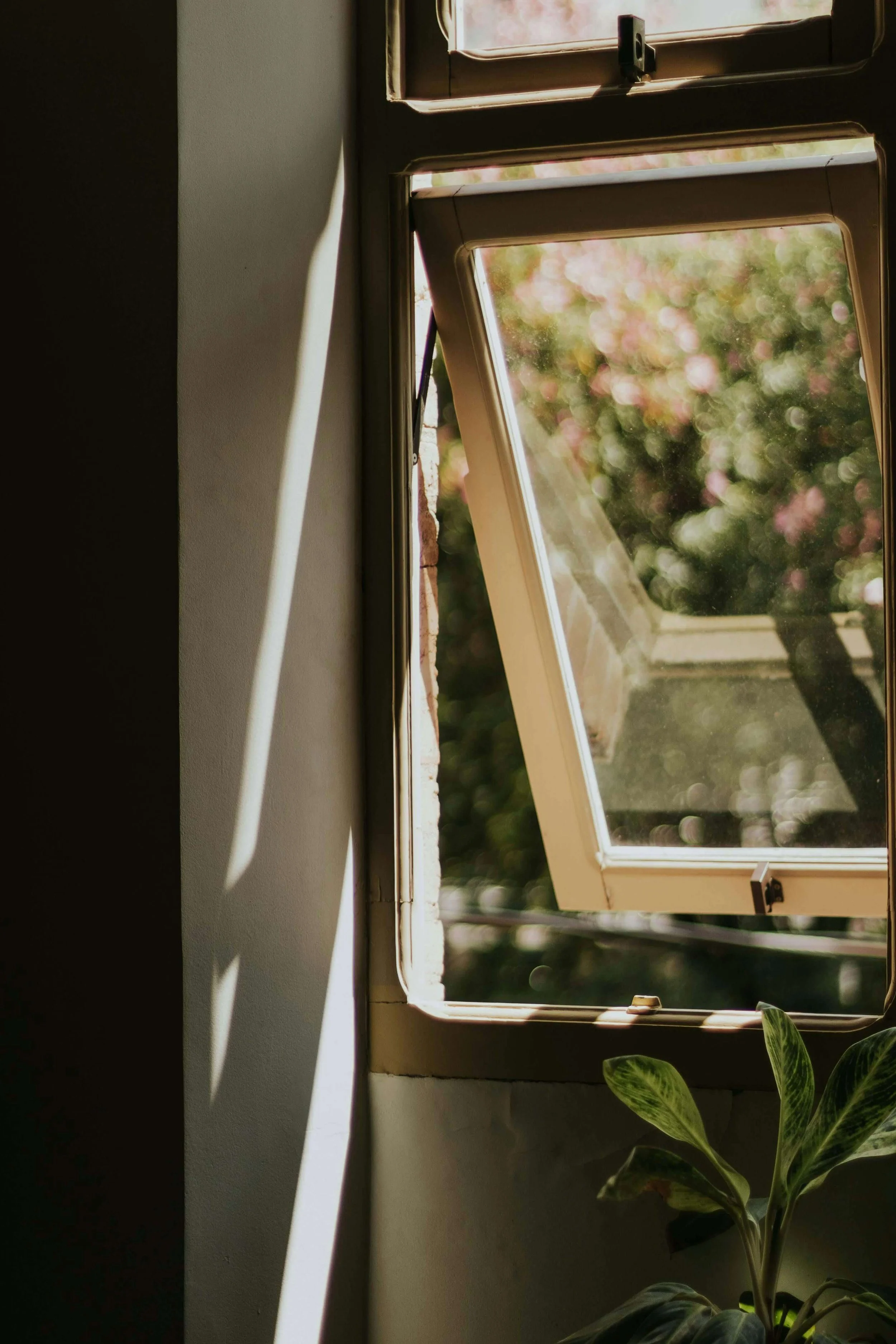 Open window with sunlight casting shadows on a white wall and a leafy green plant nearby.