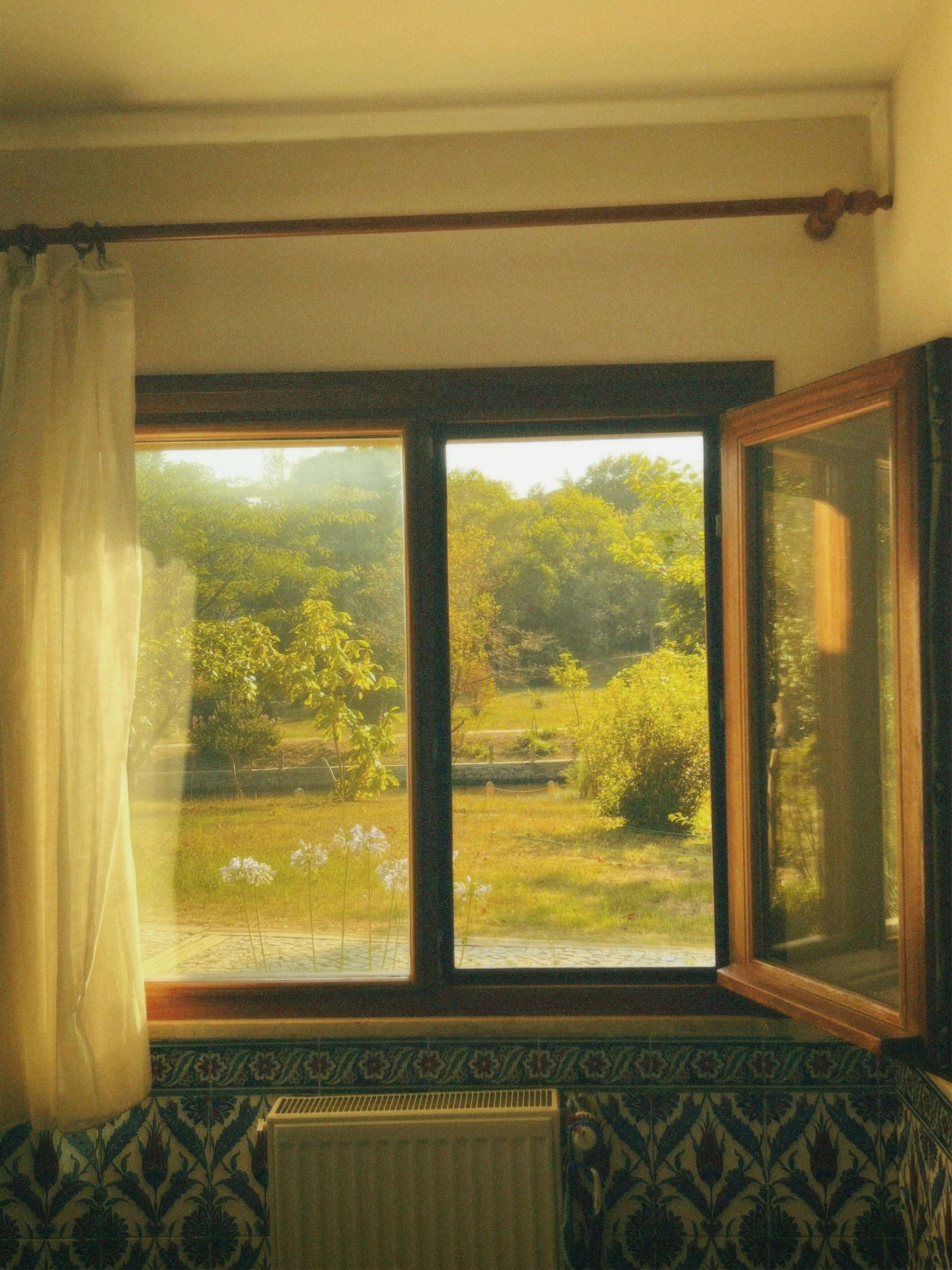Open window overlooking a lush green landscape with trees and grass on a sunny day, inside a room with patterned wall decor and a sheer curtain on the left.