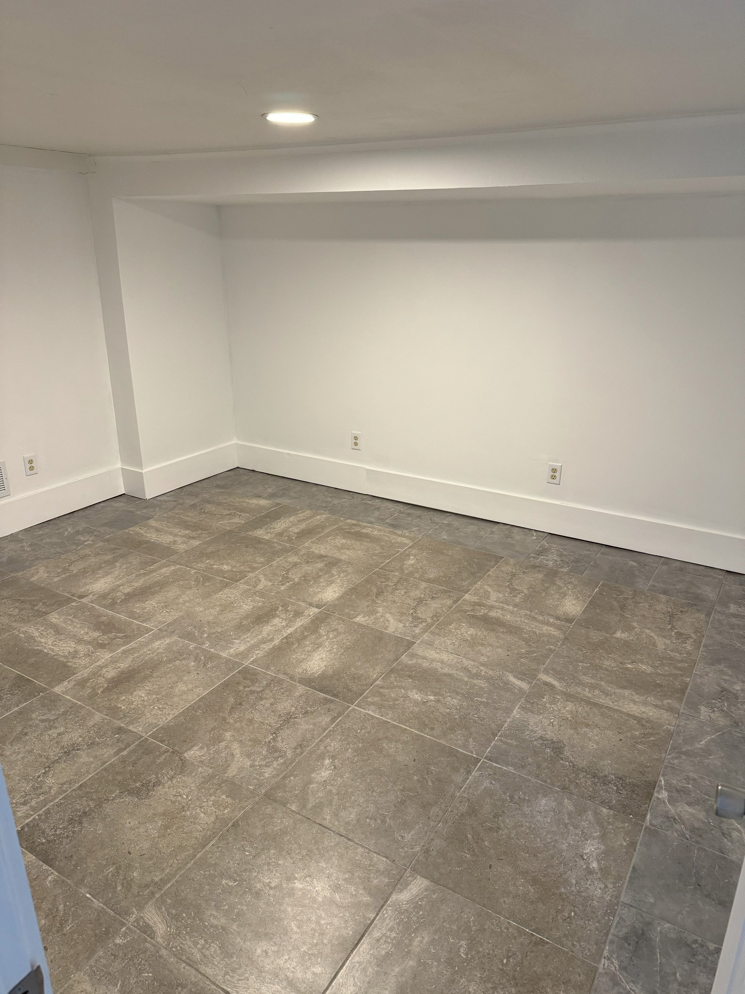 612 Lafayette Basement 1.jpg