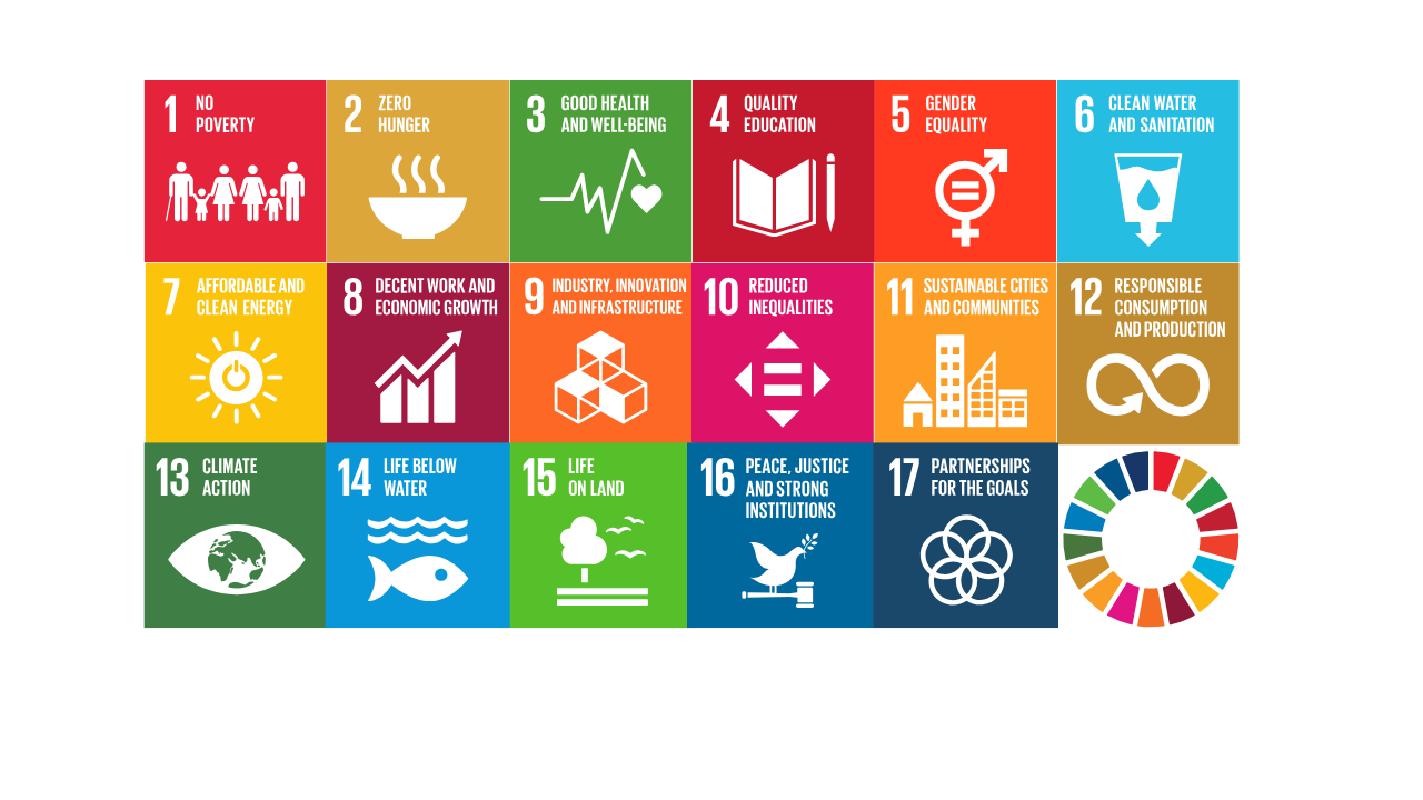 Image of all 17 United Nations Sustainable Development Goals