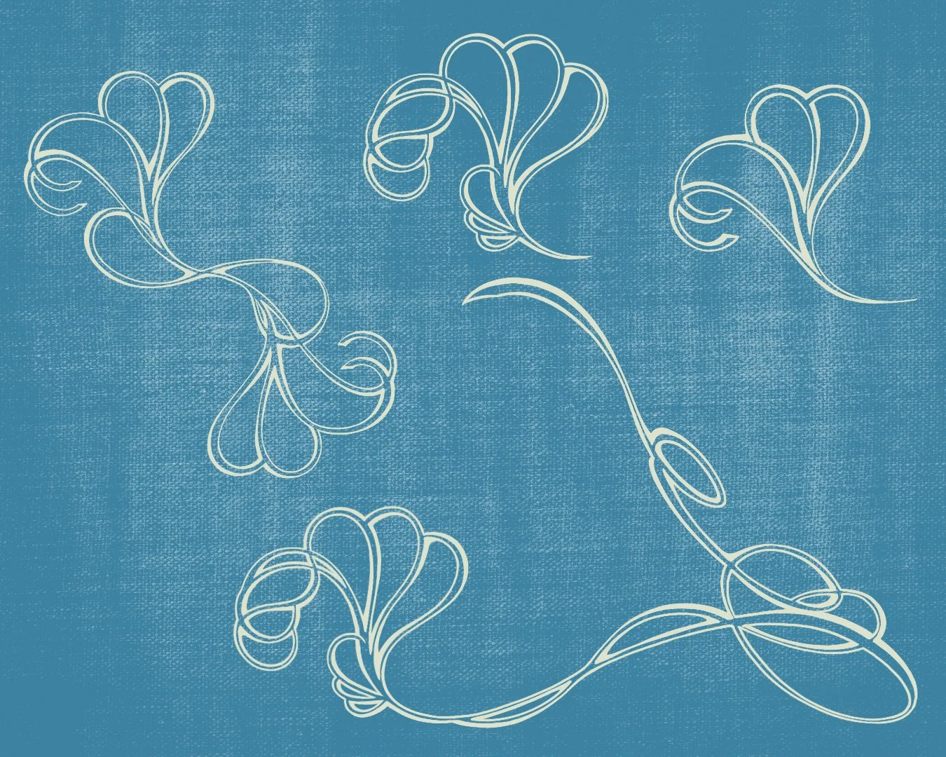 Studio Stello Visual Assets